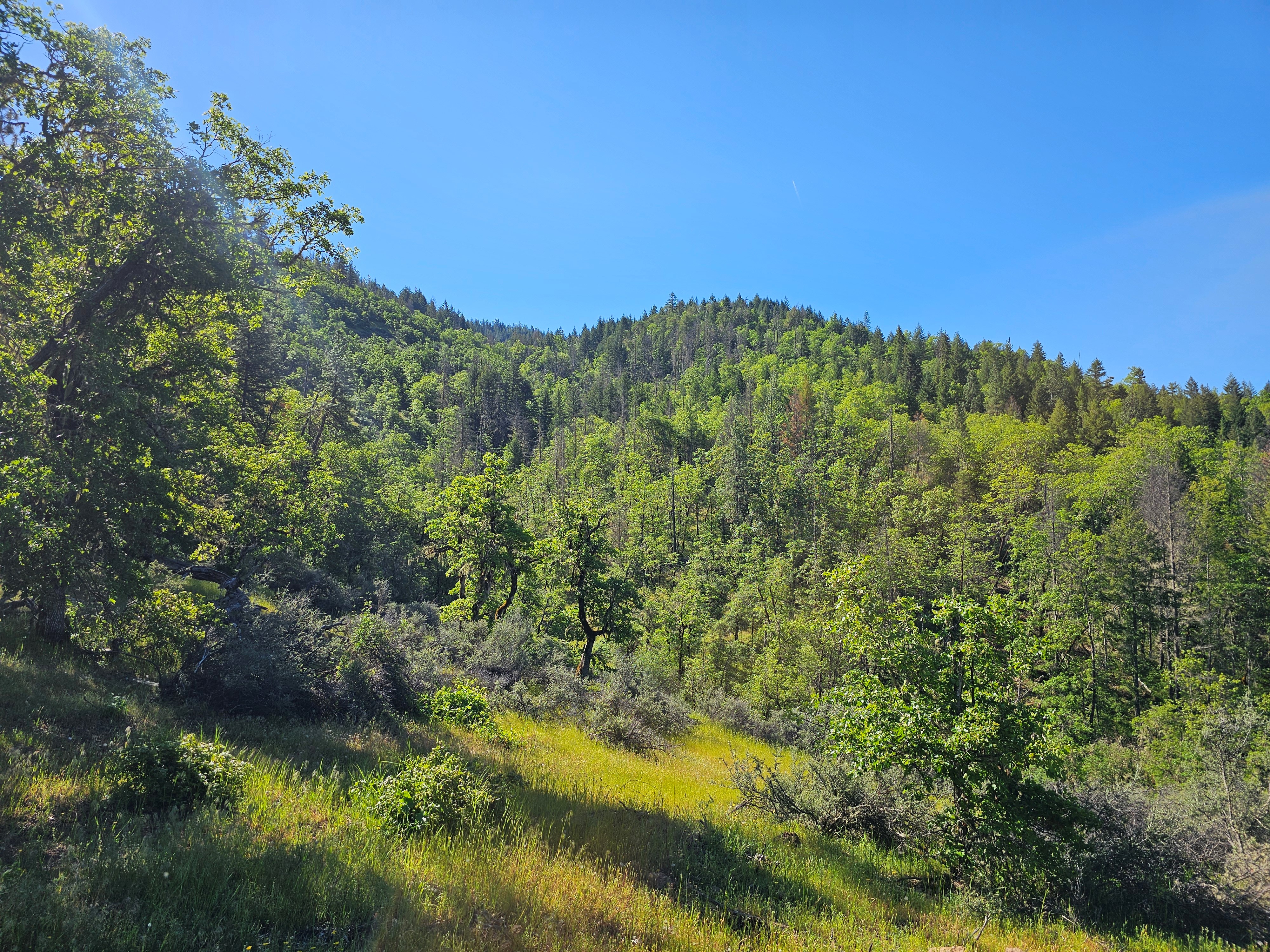 Elk Creek Road TL 2205