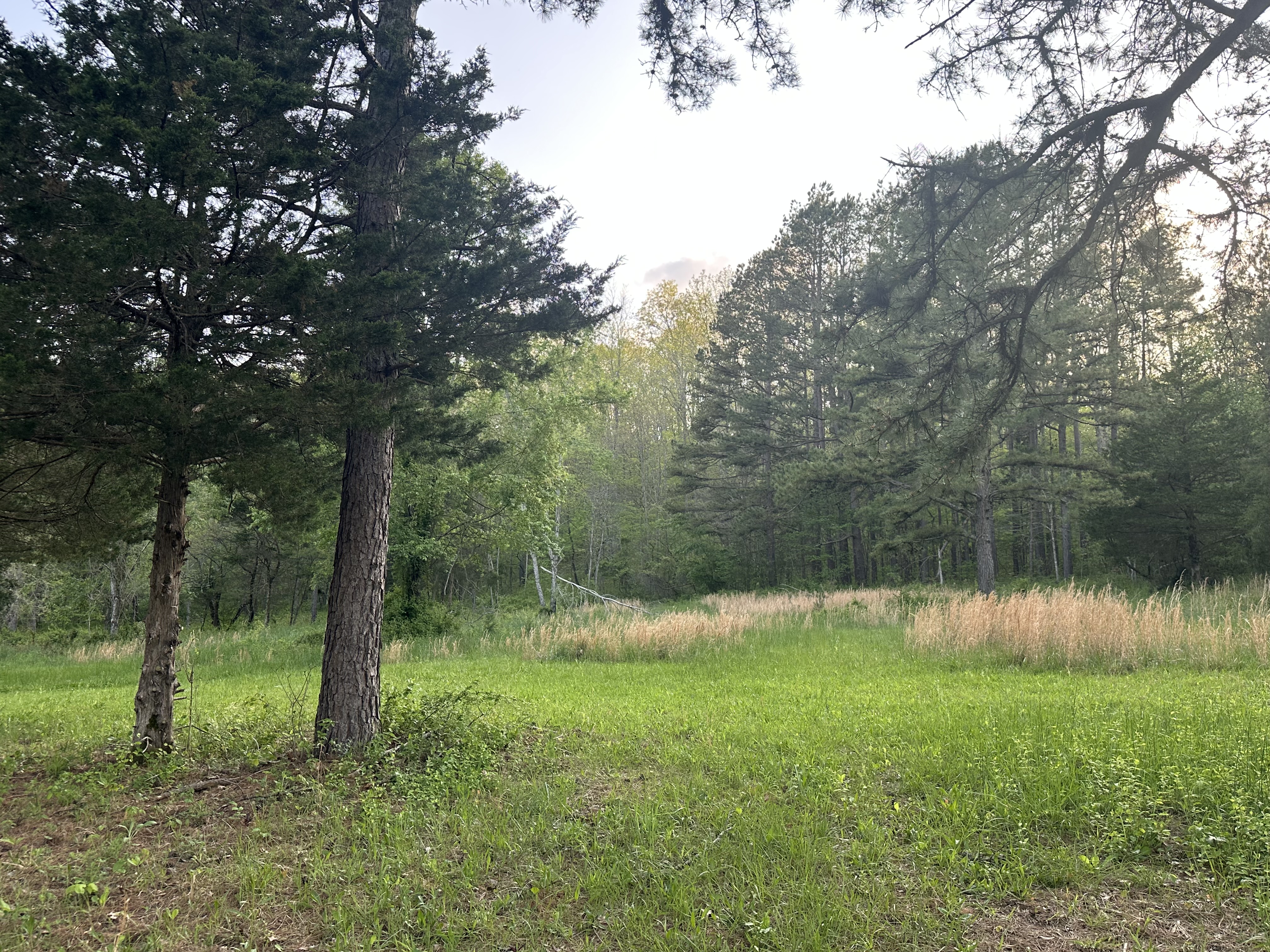 Wash Creek Retreat