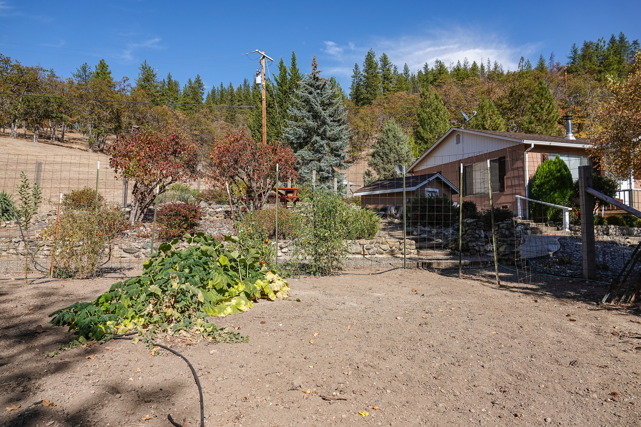 Listing Image 63
