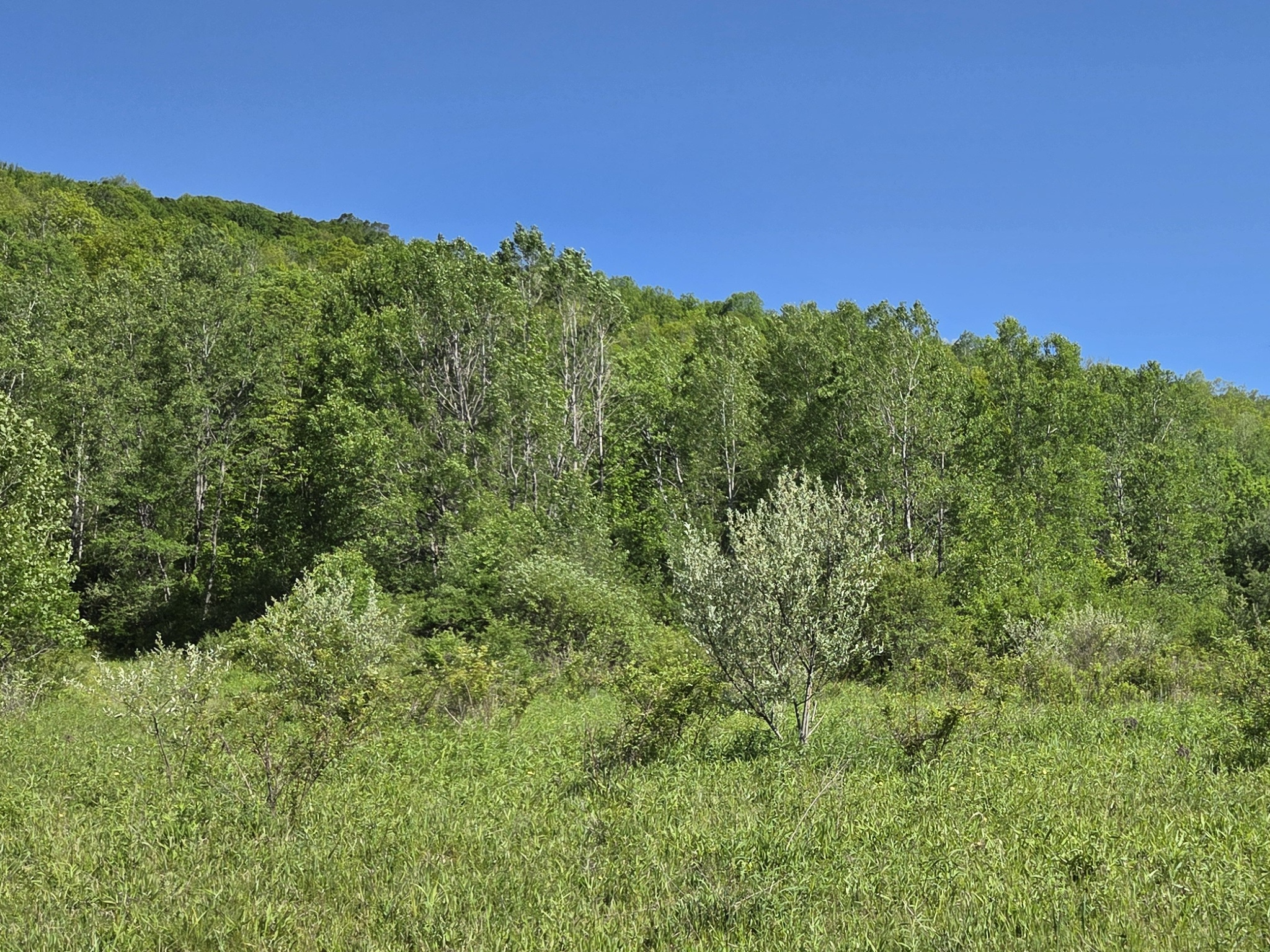 Listing Image 10