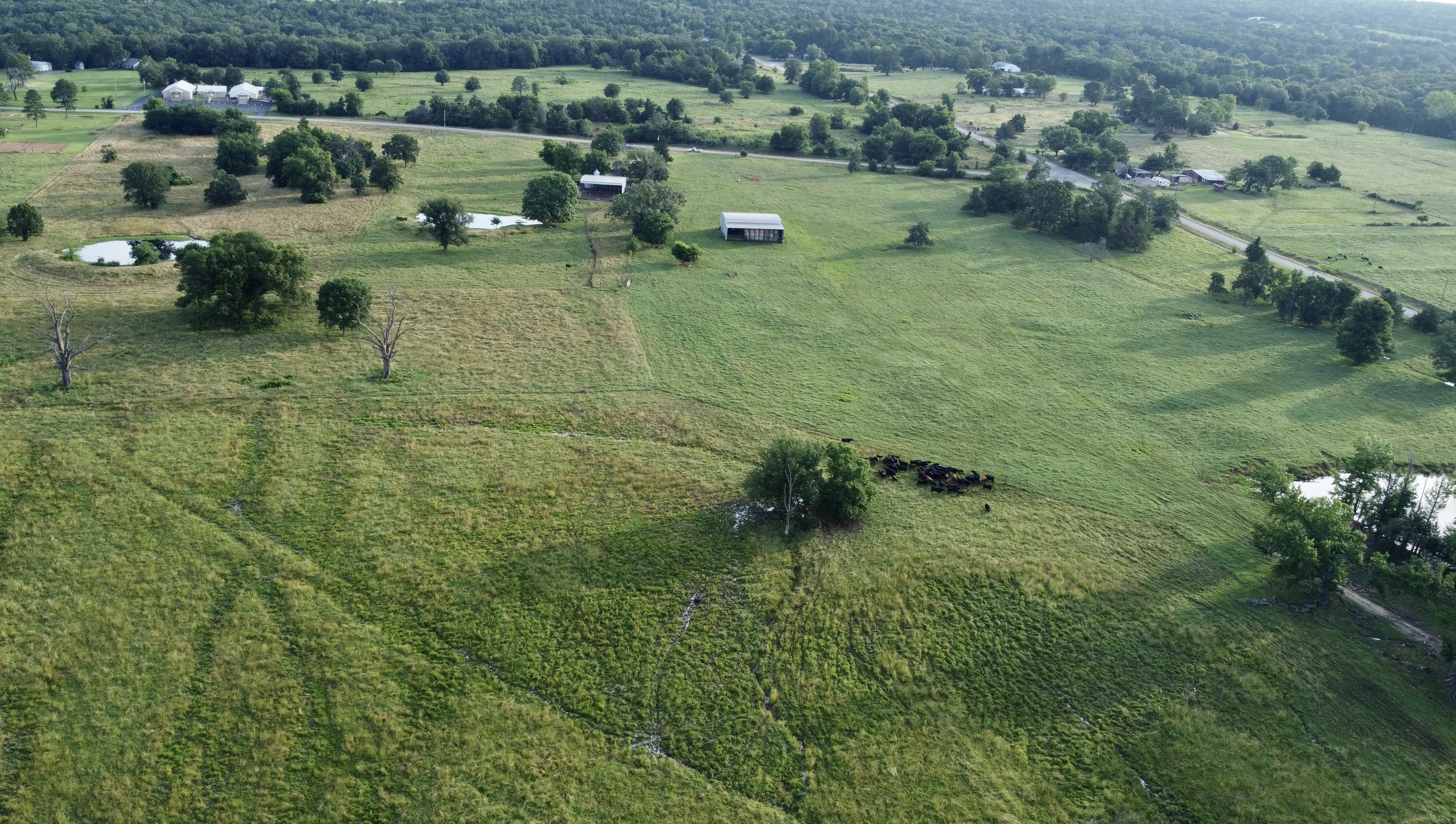 River Valley Rotational Grazing