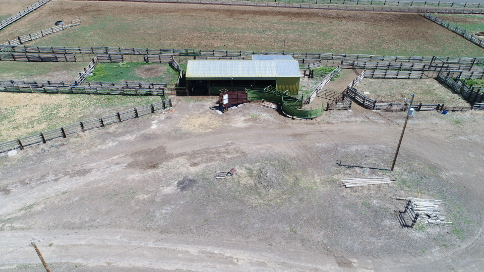 Listing Image 12