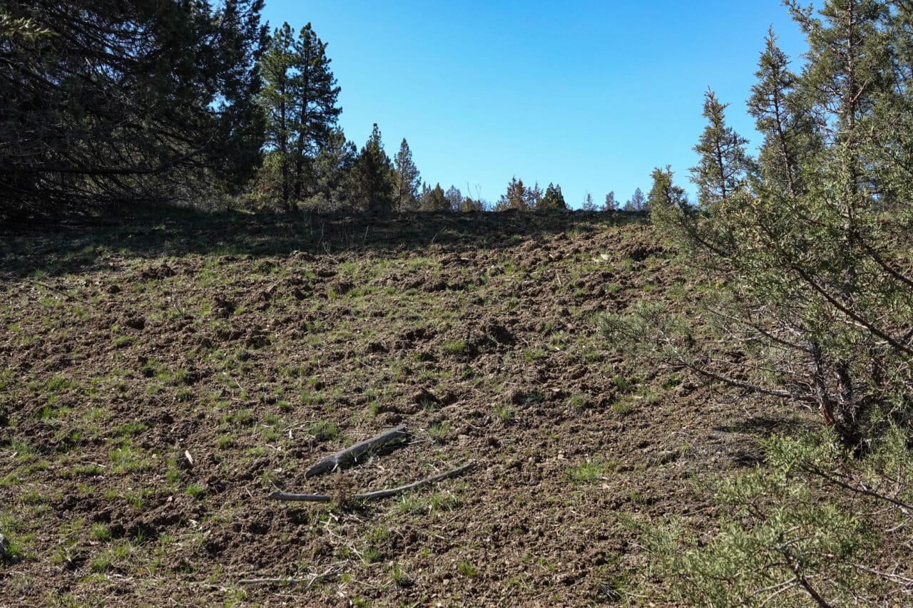 Blacktail Hills Retreat