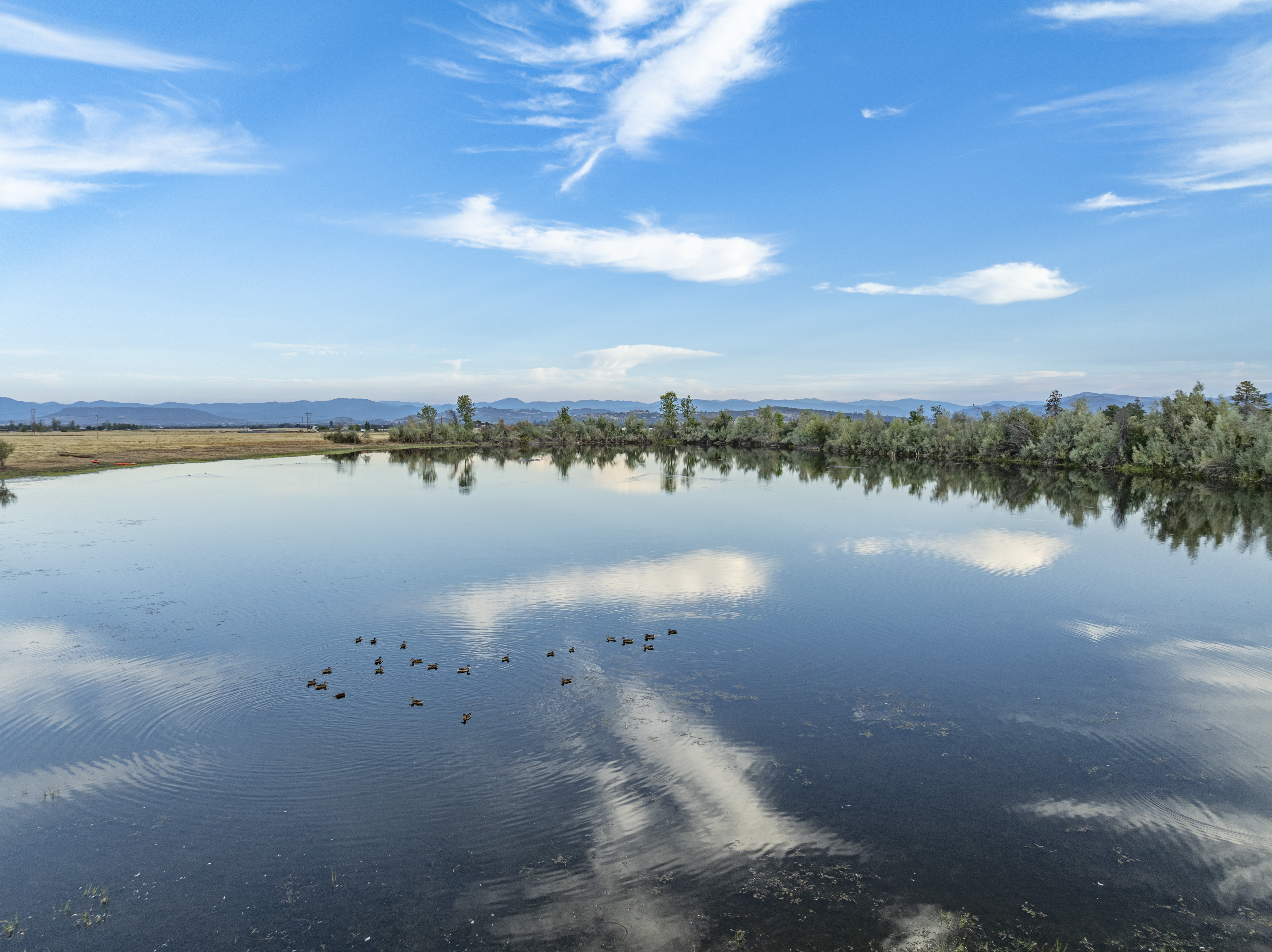 Harper Reservoir - 1631 E Antelope Rd