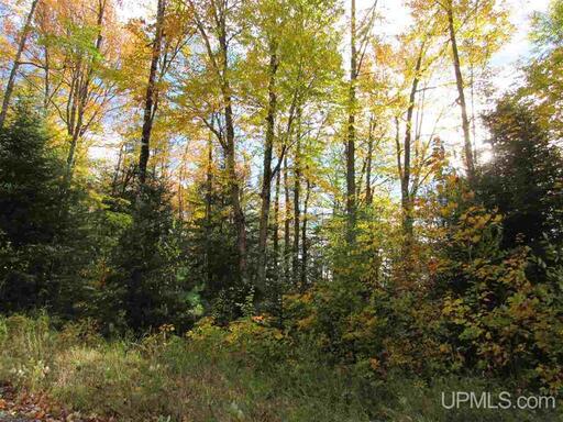 Michigan Private Lake Lot  50178194