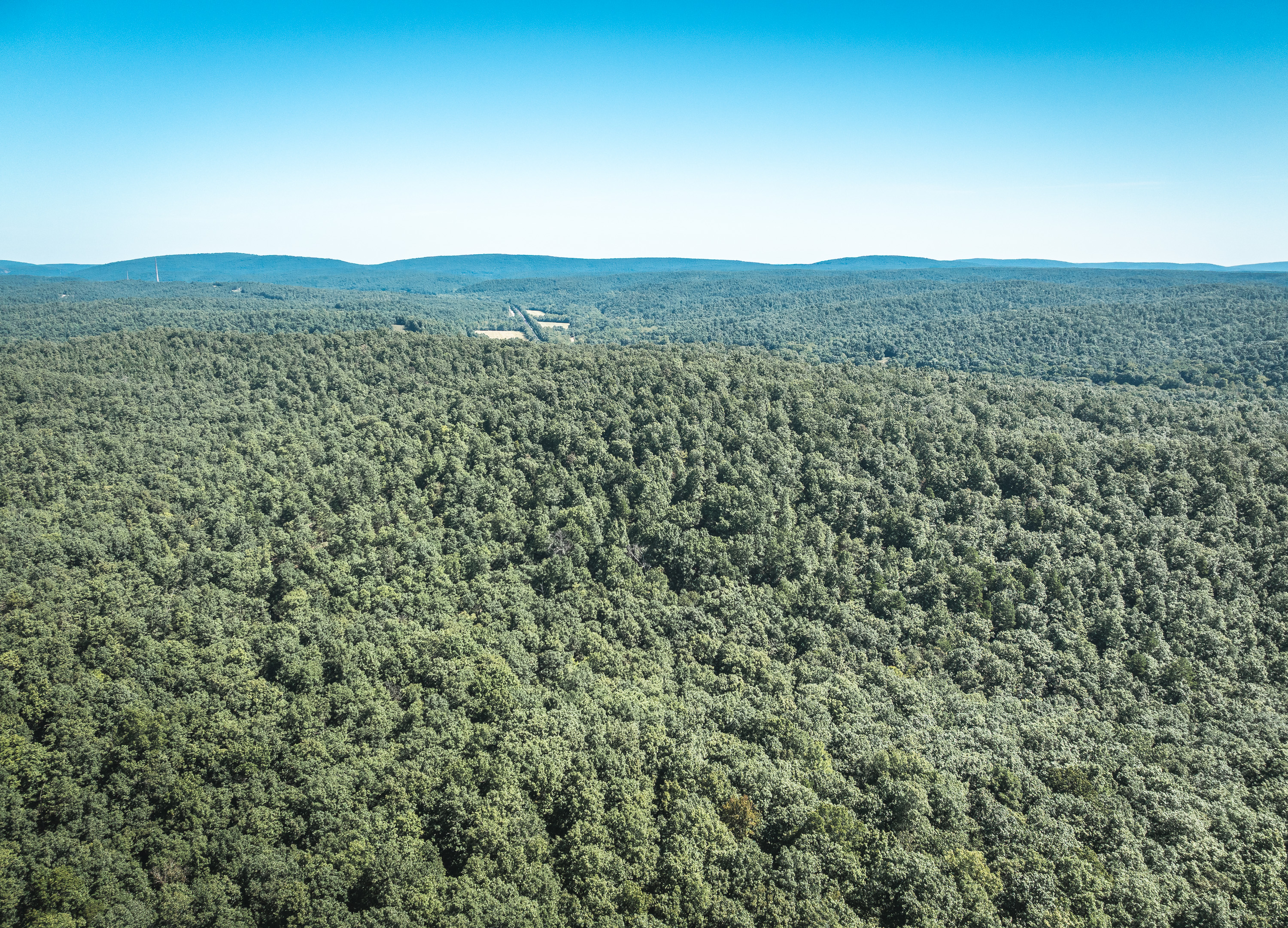 Ozark Wilderness Retreat