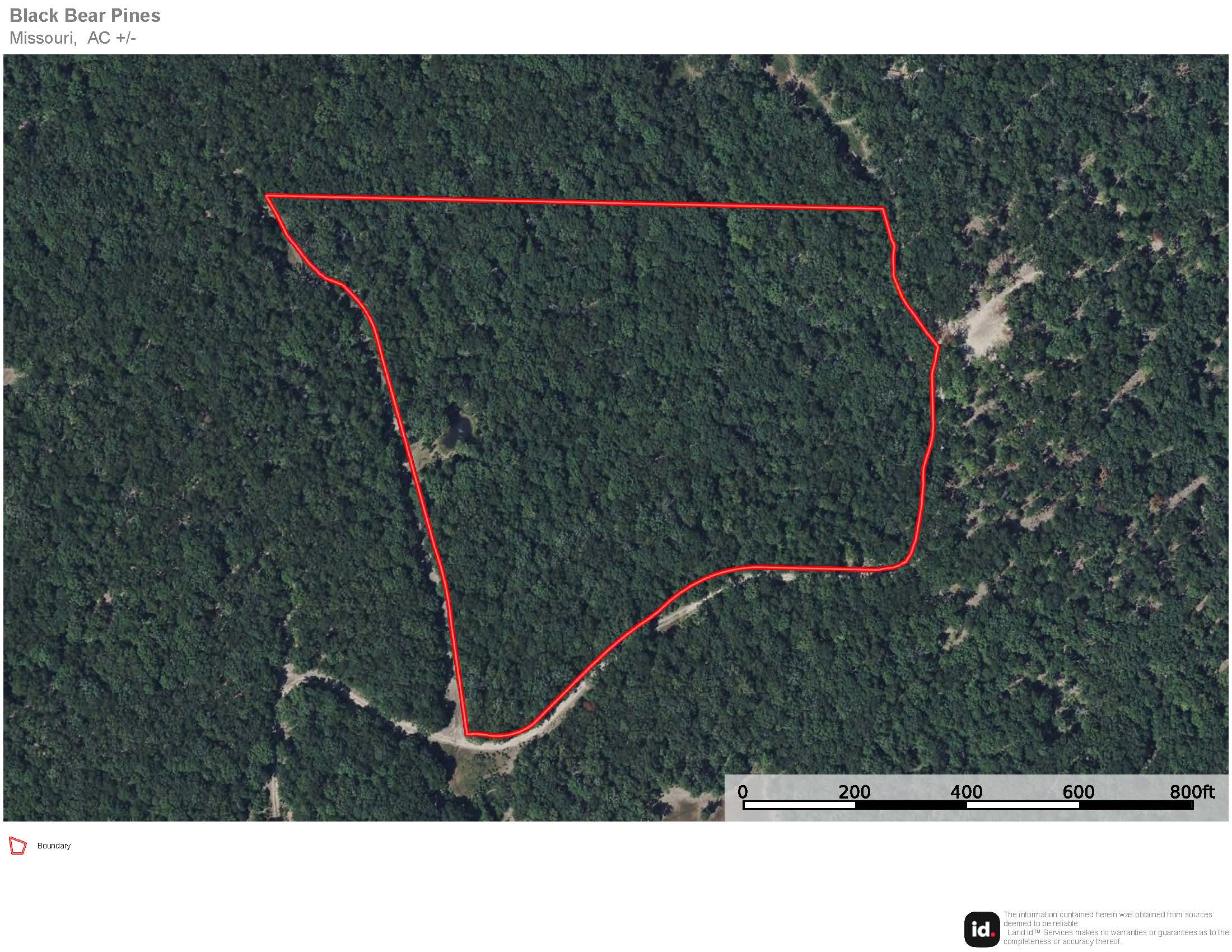 Black Bear Pines