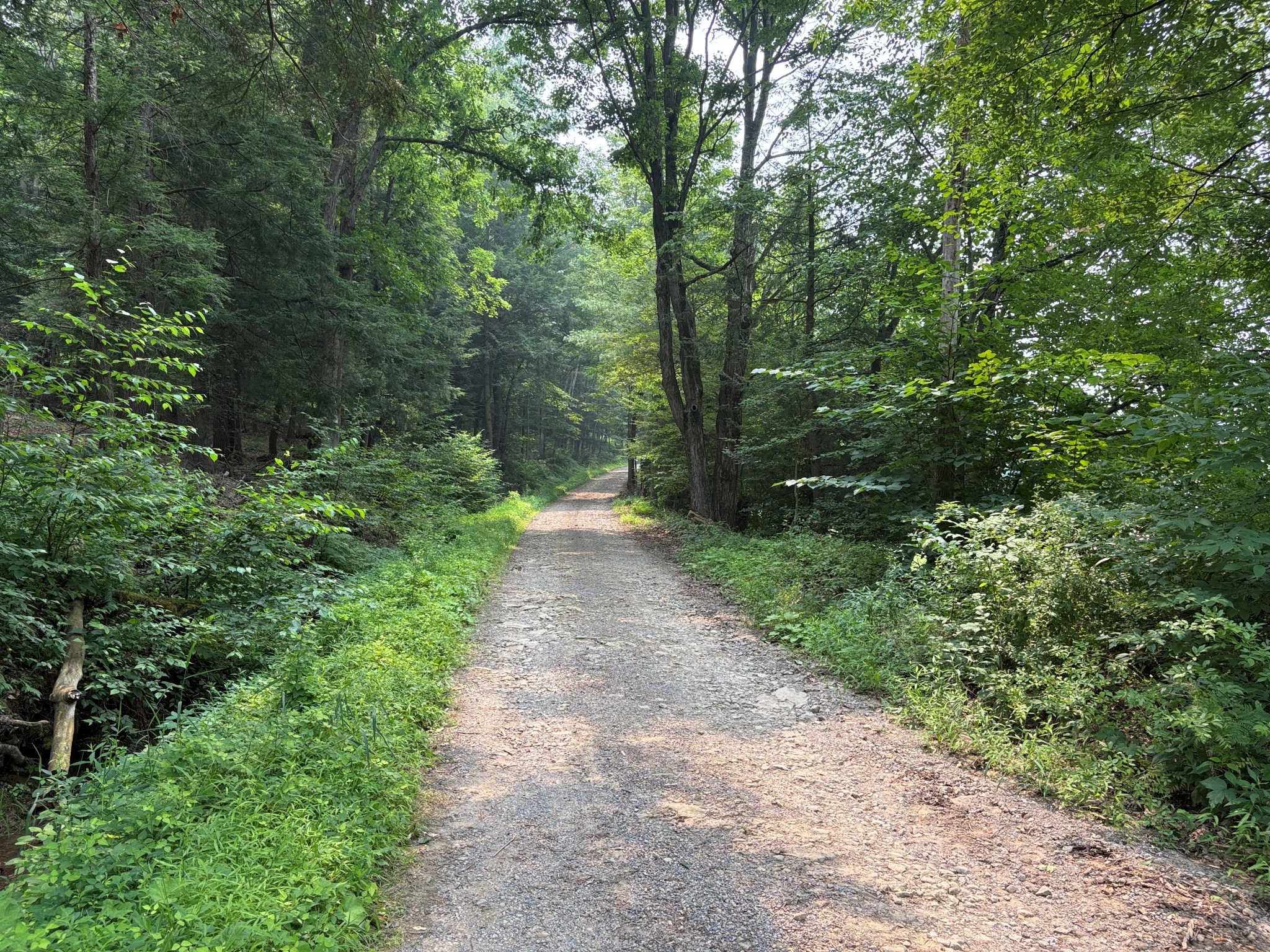 Listing Image 43