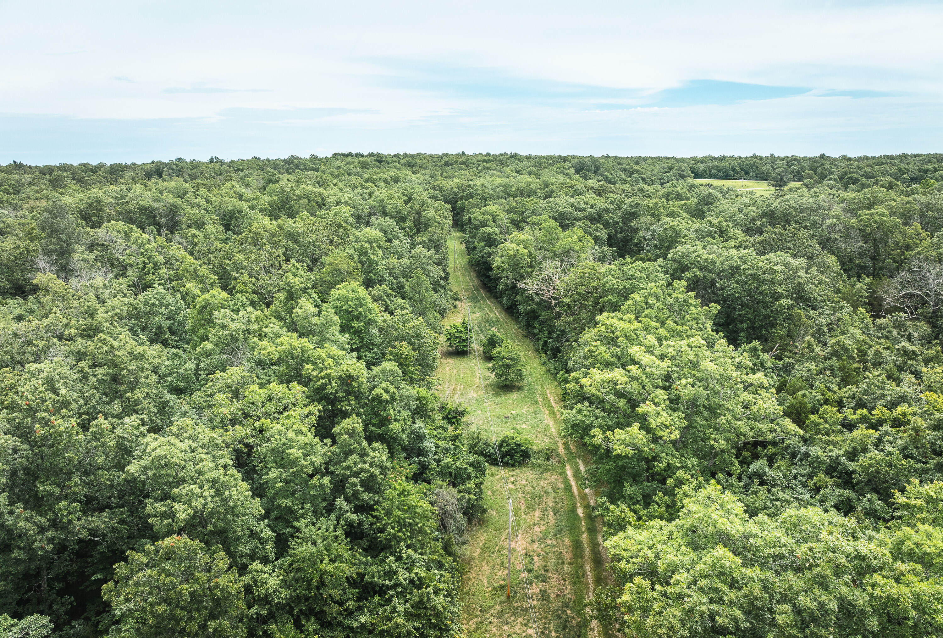 Phelps County Land & Timber 2 Tracts