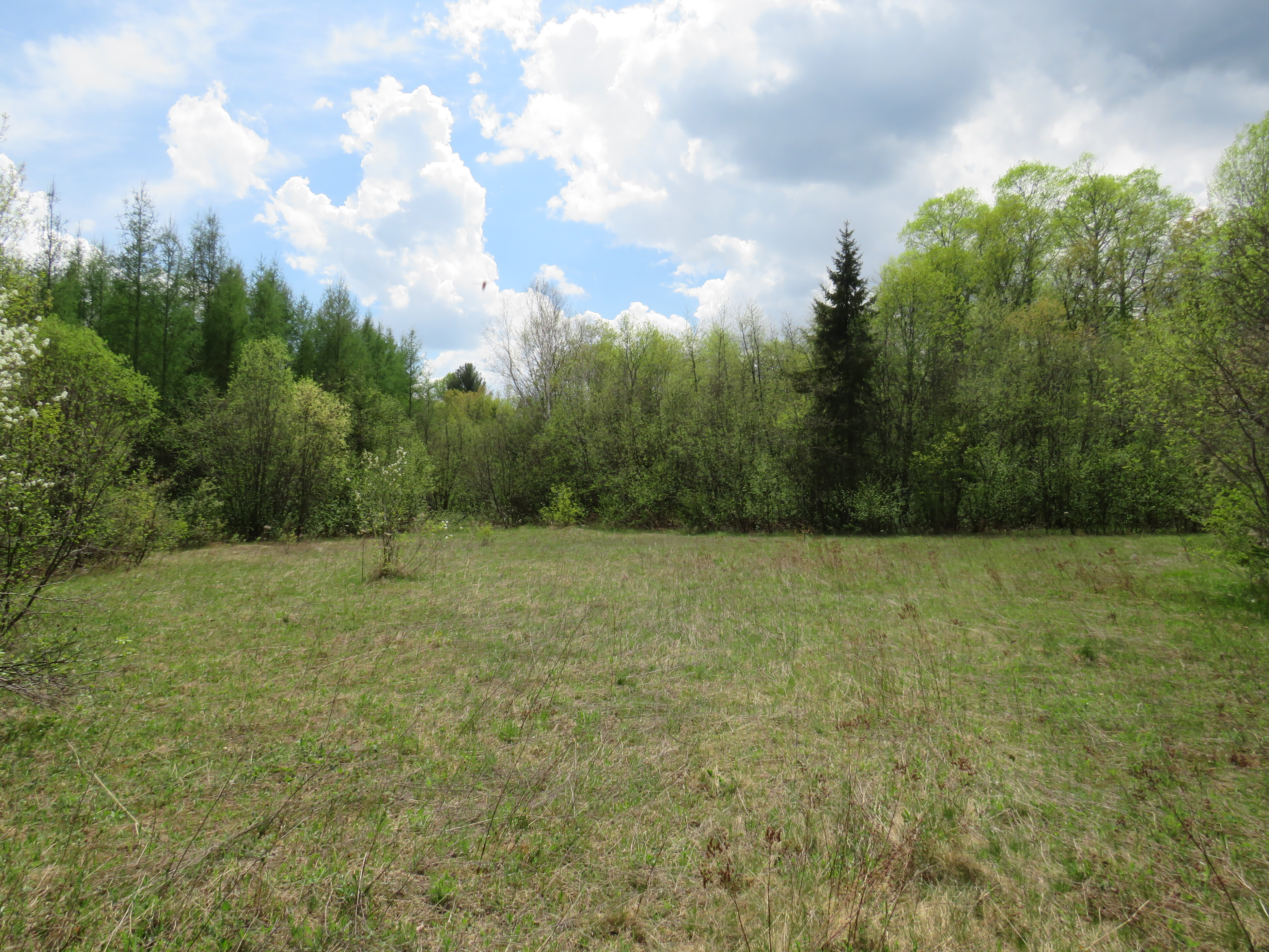 160 Acre Wilderness Retreat 50175391