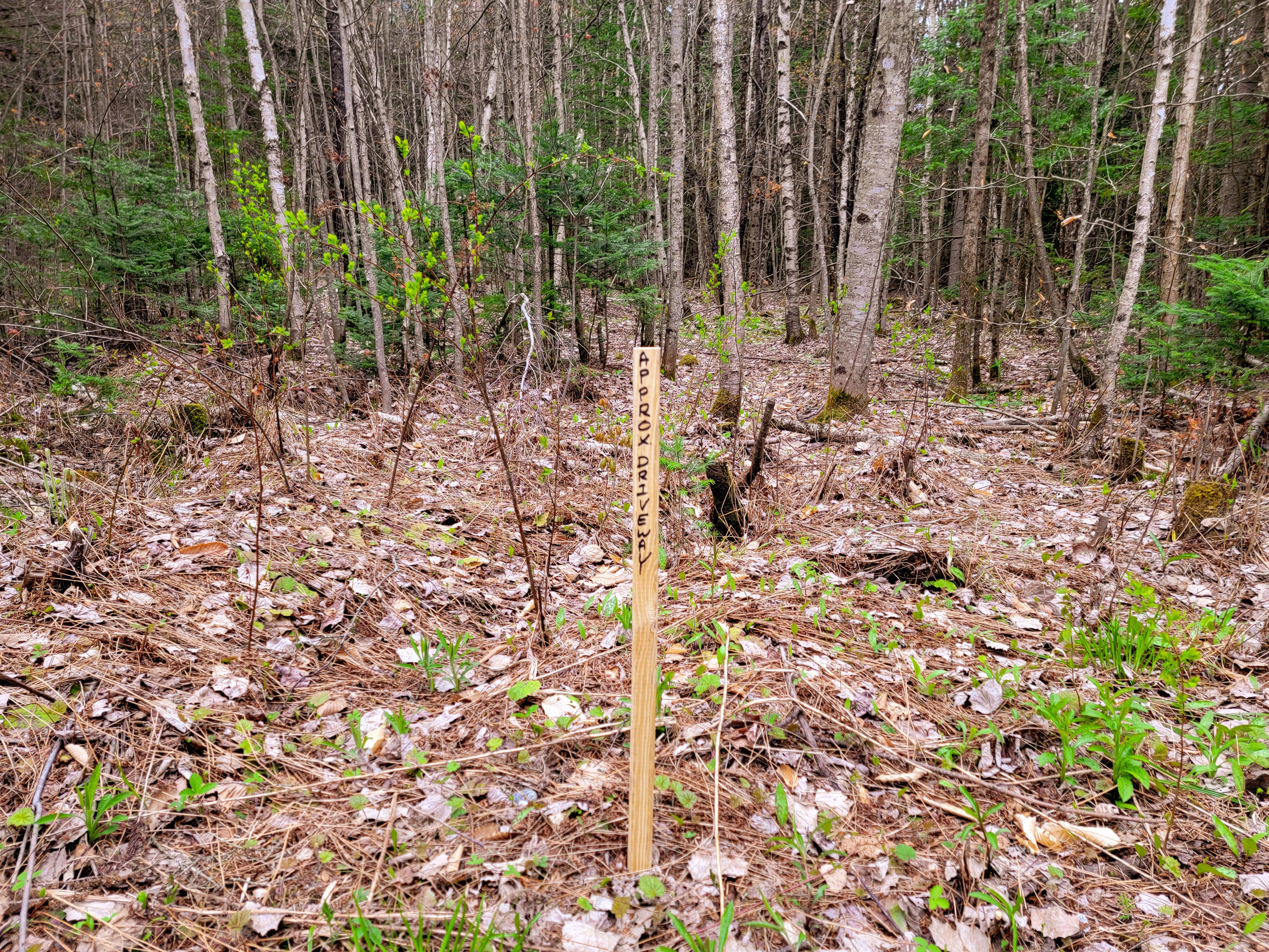 Listing Image 21