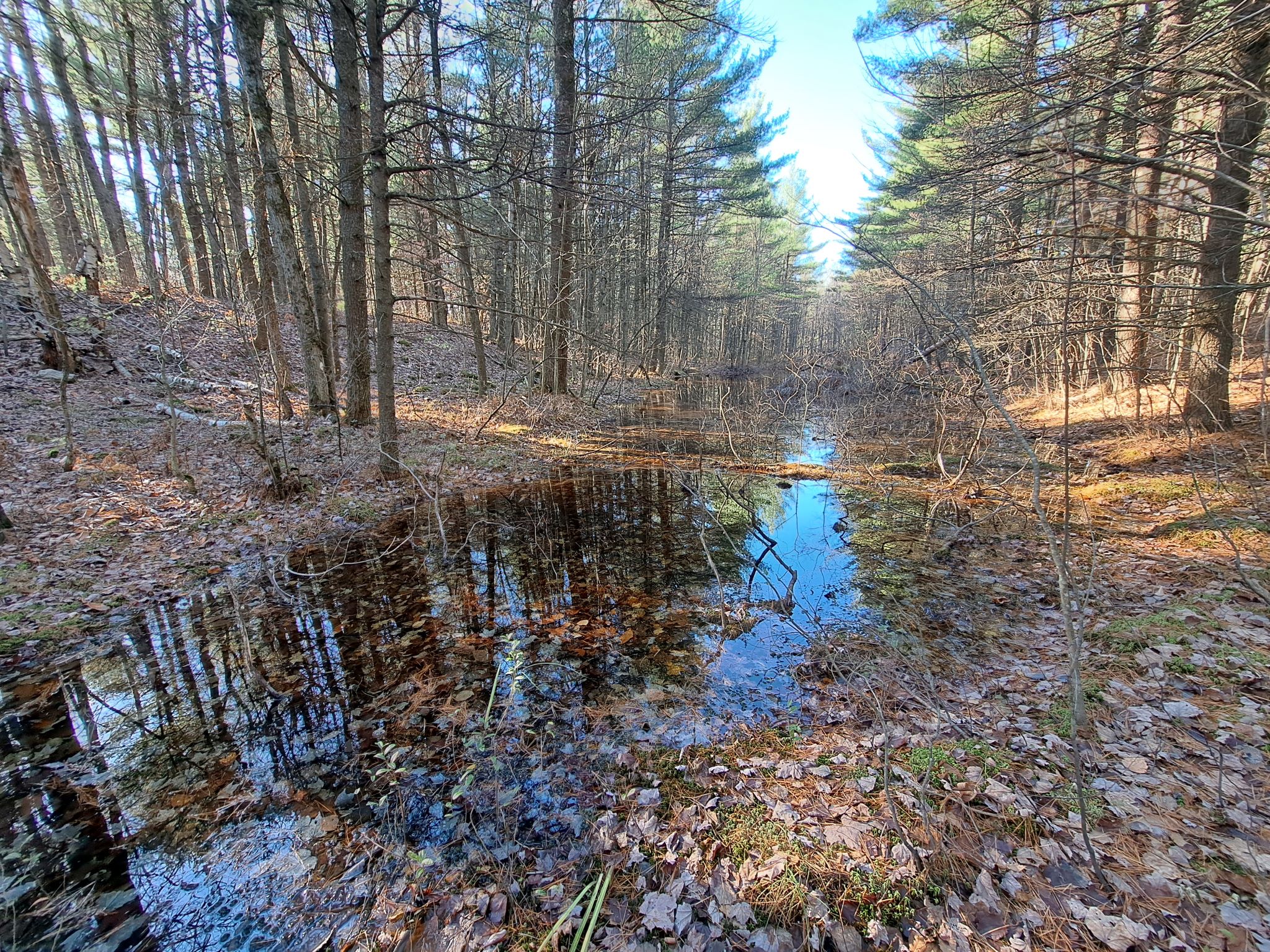 Listing Image 79