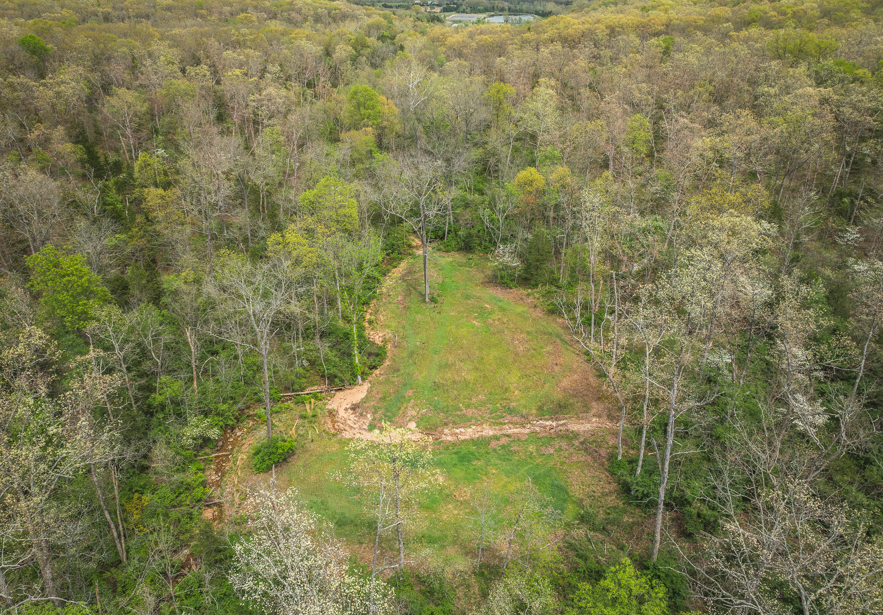 Buck Nest 37