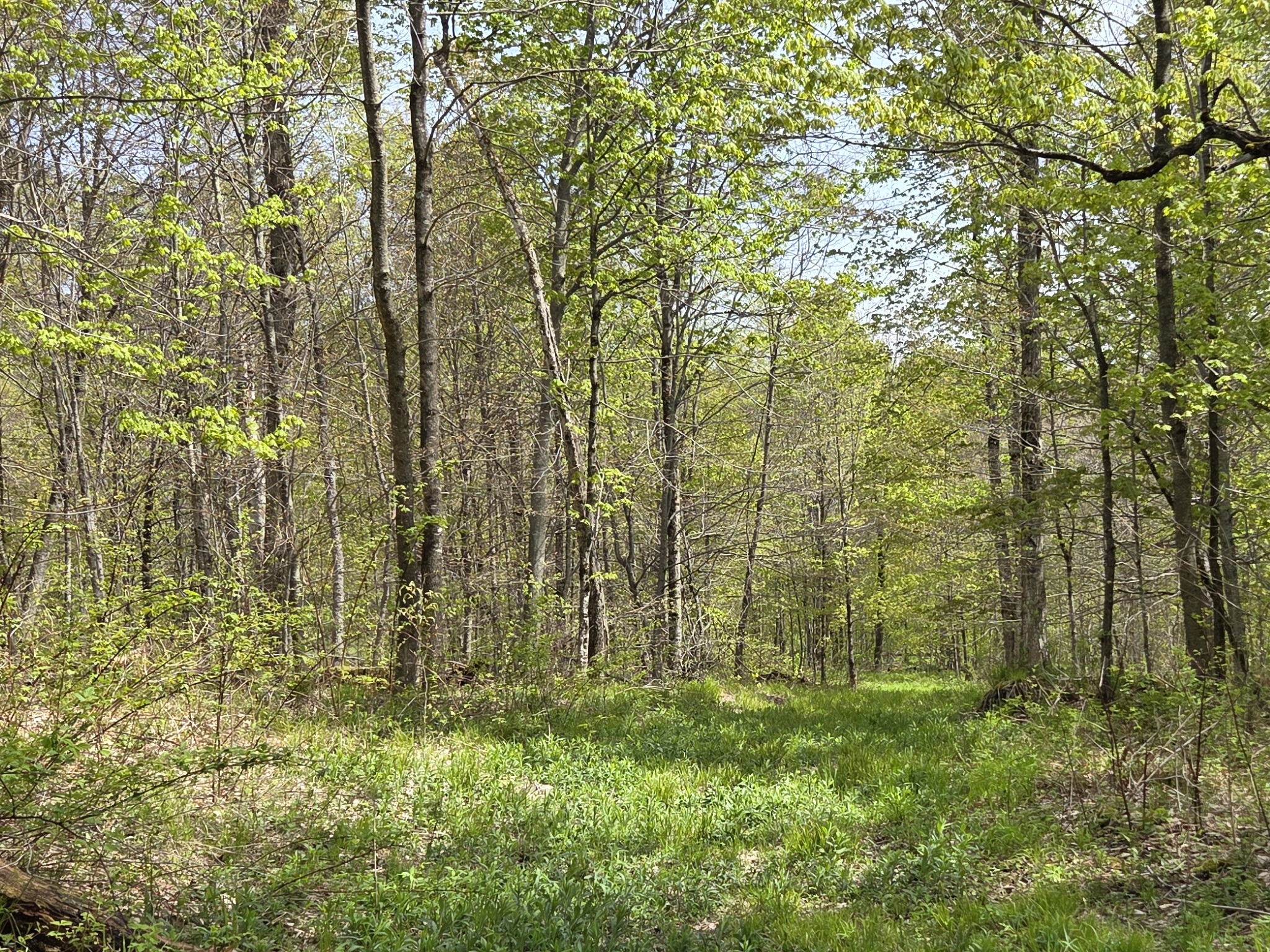 Listing Image 29