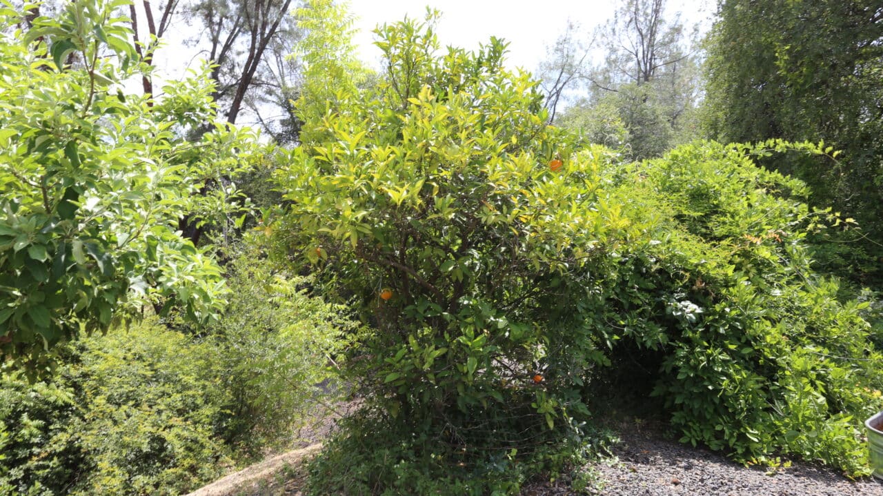 Listing Image 64
