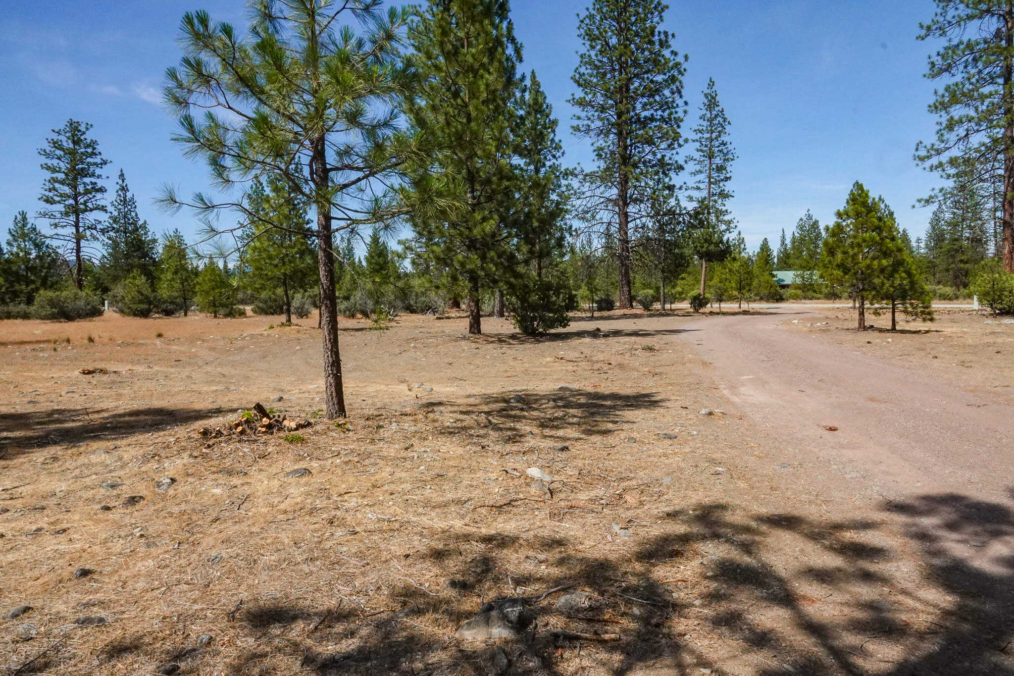 Listing Image 50