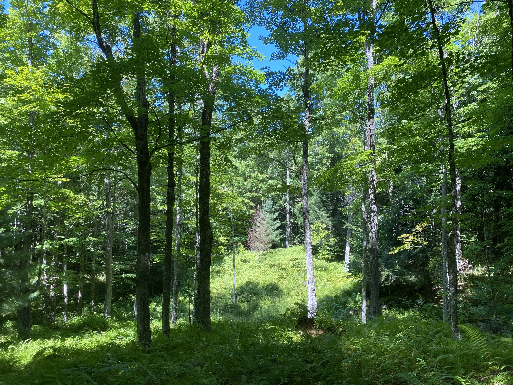 Plumb Brook Country Retreat