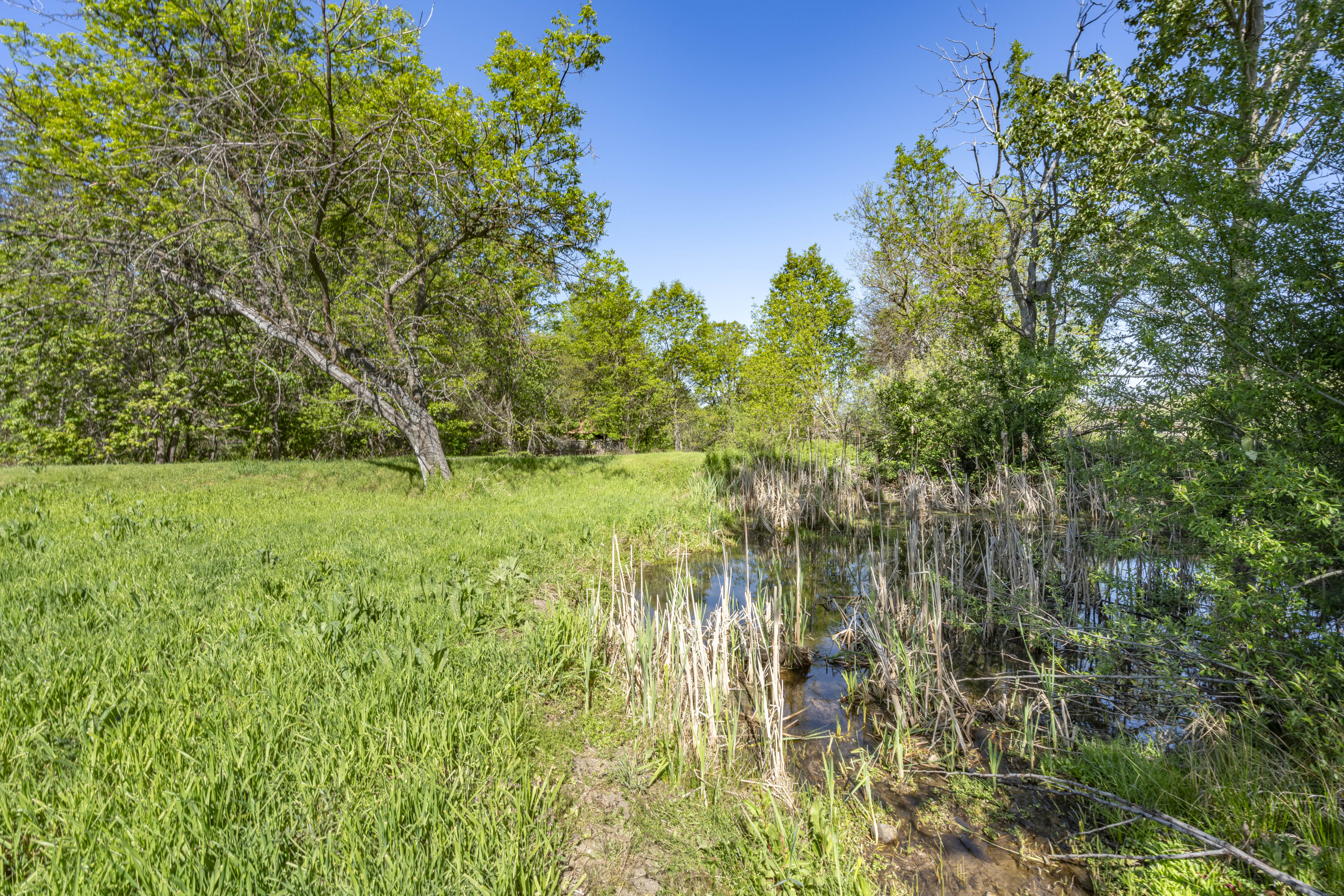 Listing Image 59