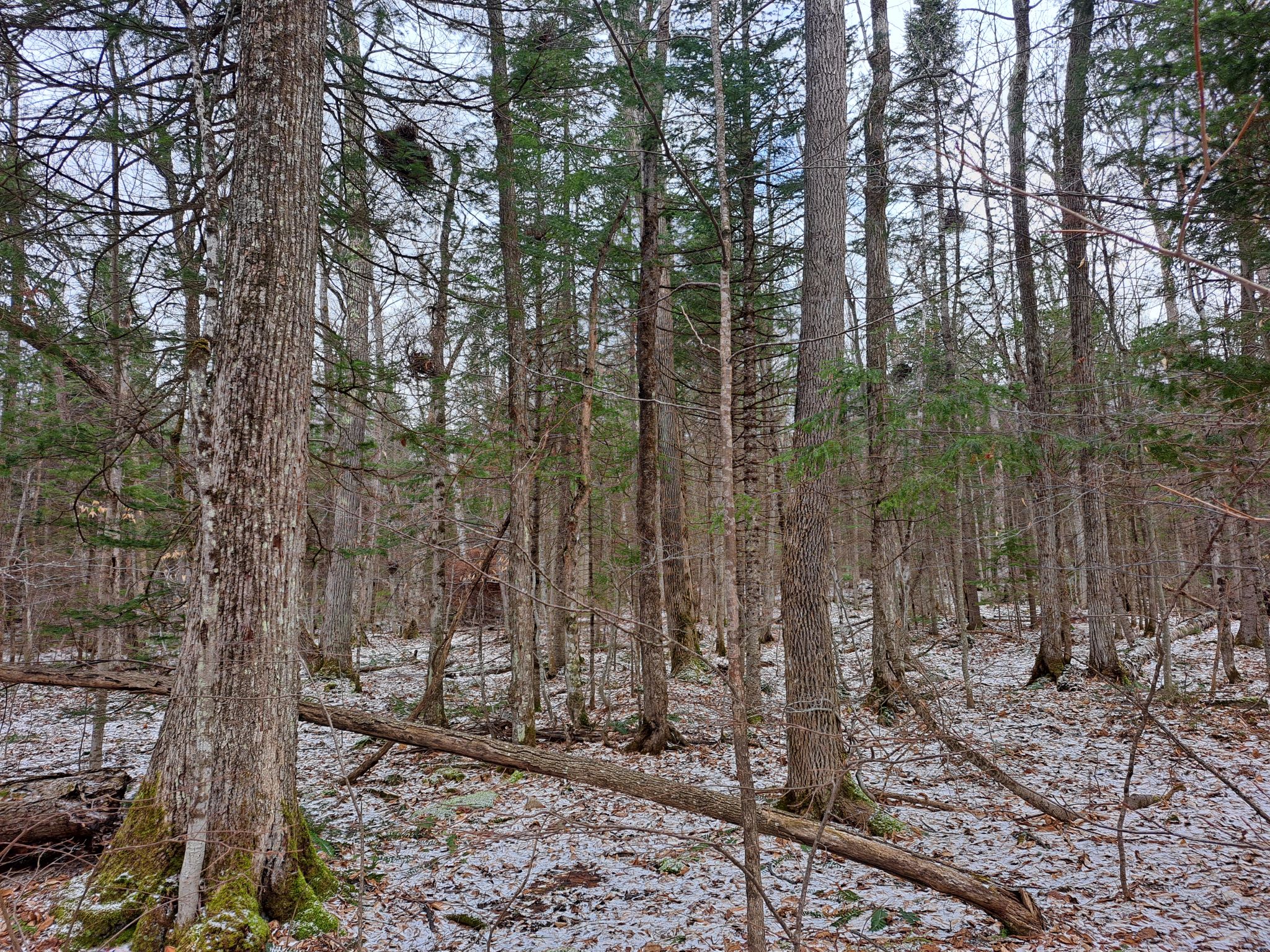 Listing Image 24