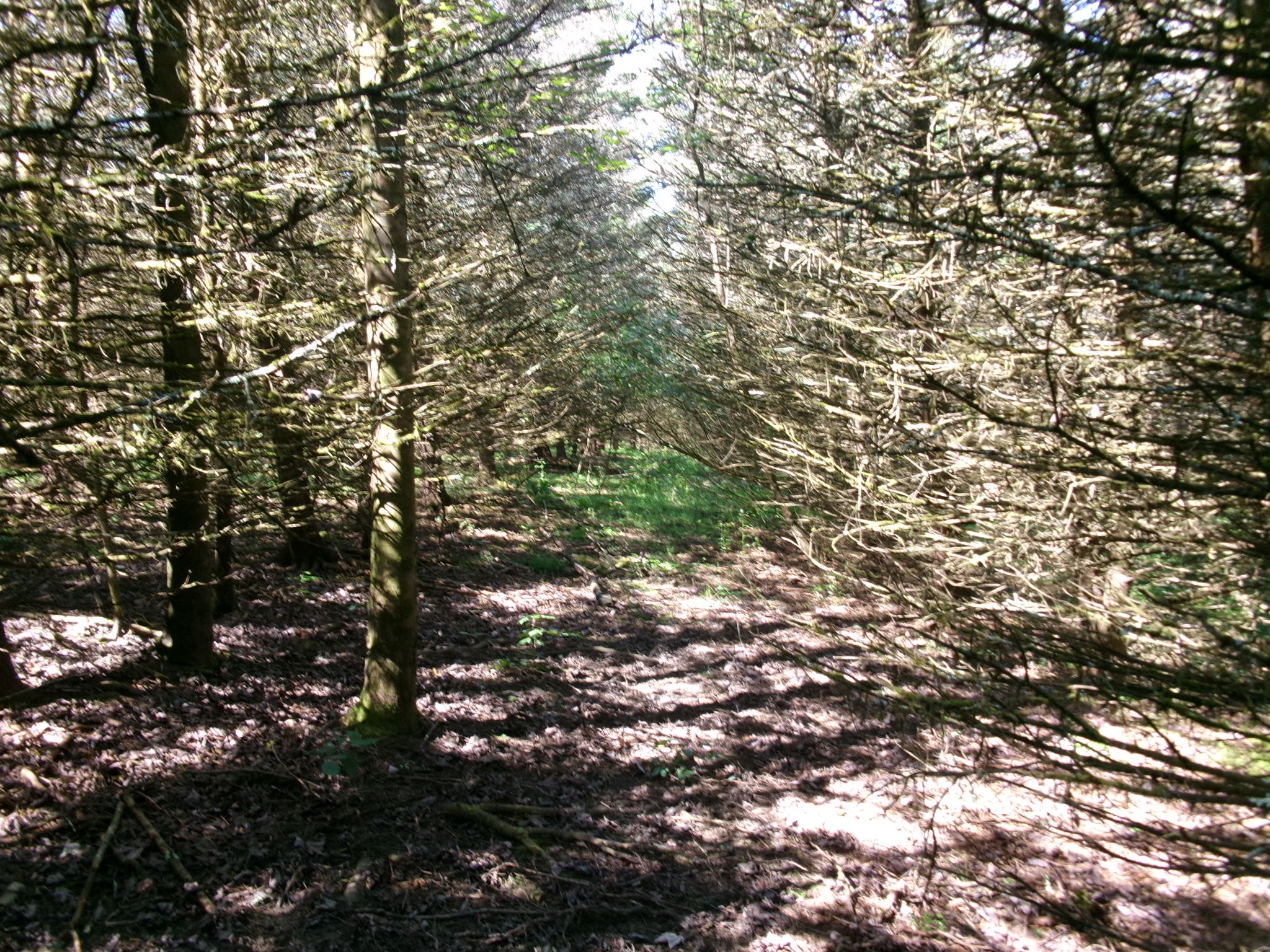 Listing Image 28