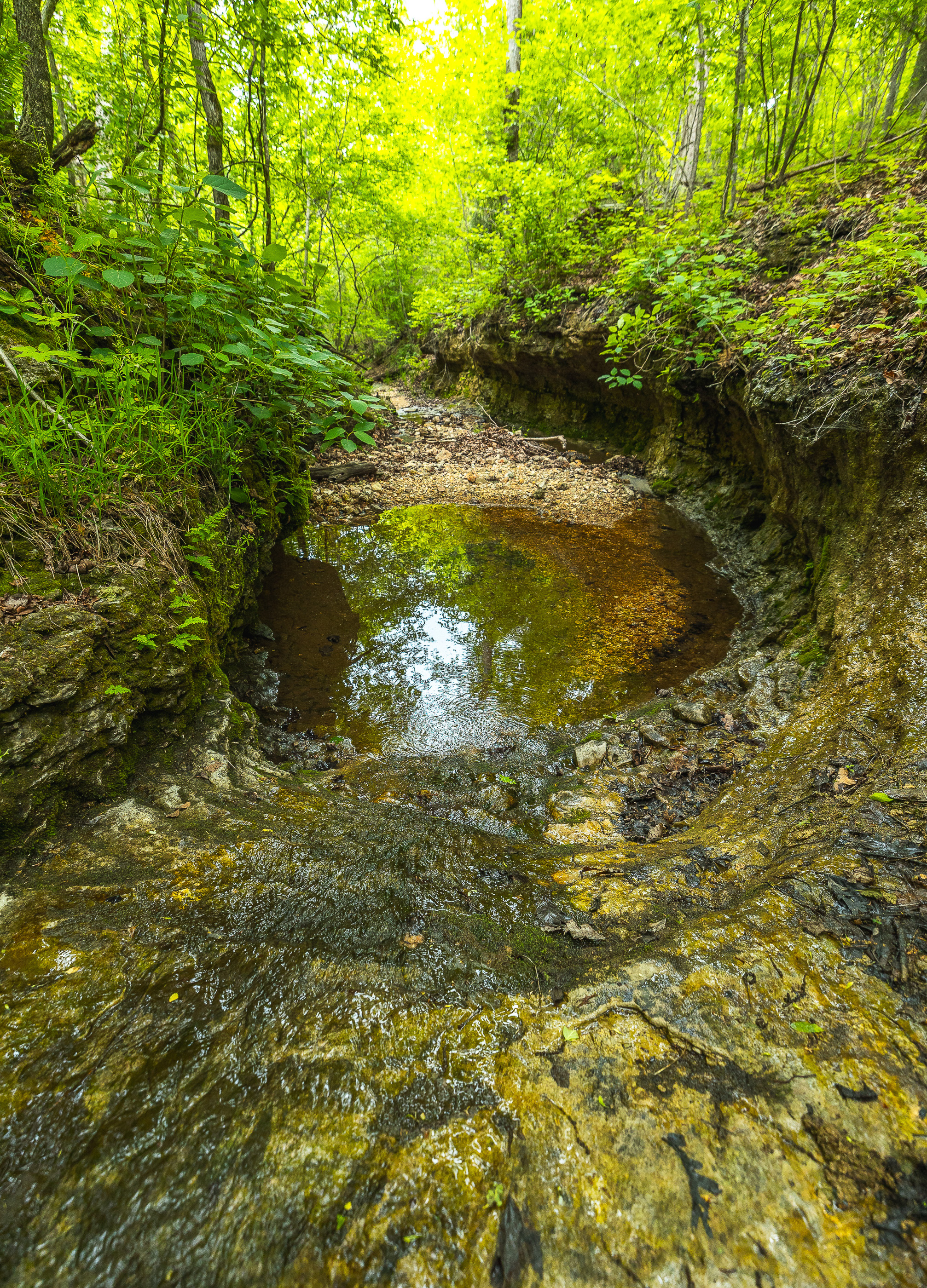 Waters Edge on the Gasconade River Tract 1