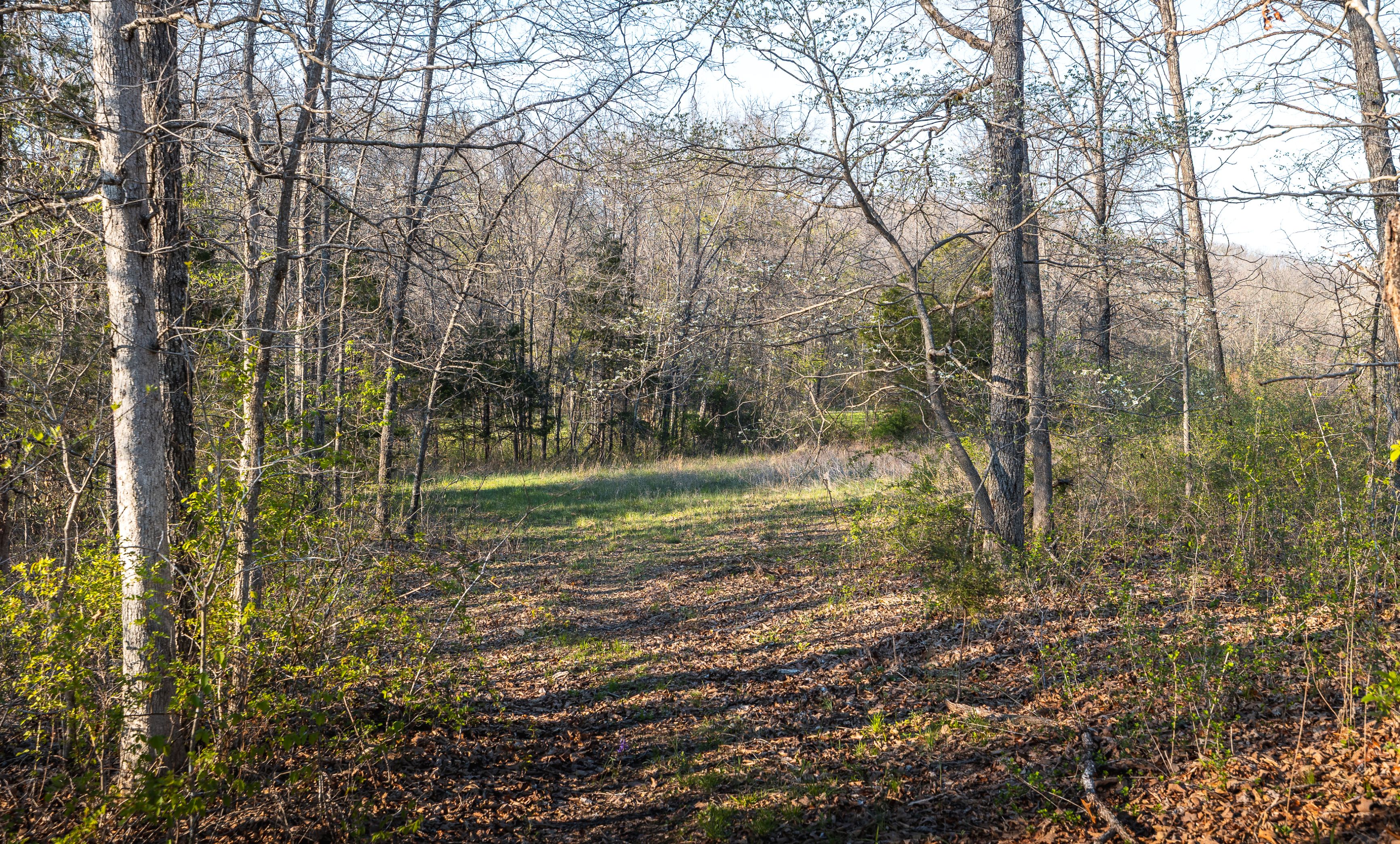 Meramec Paradise