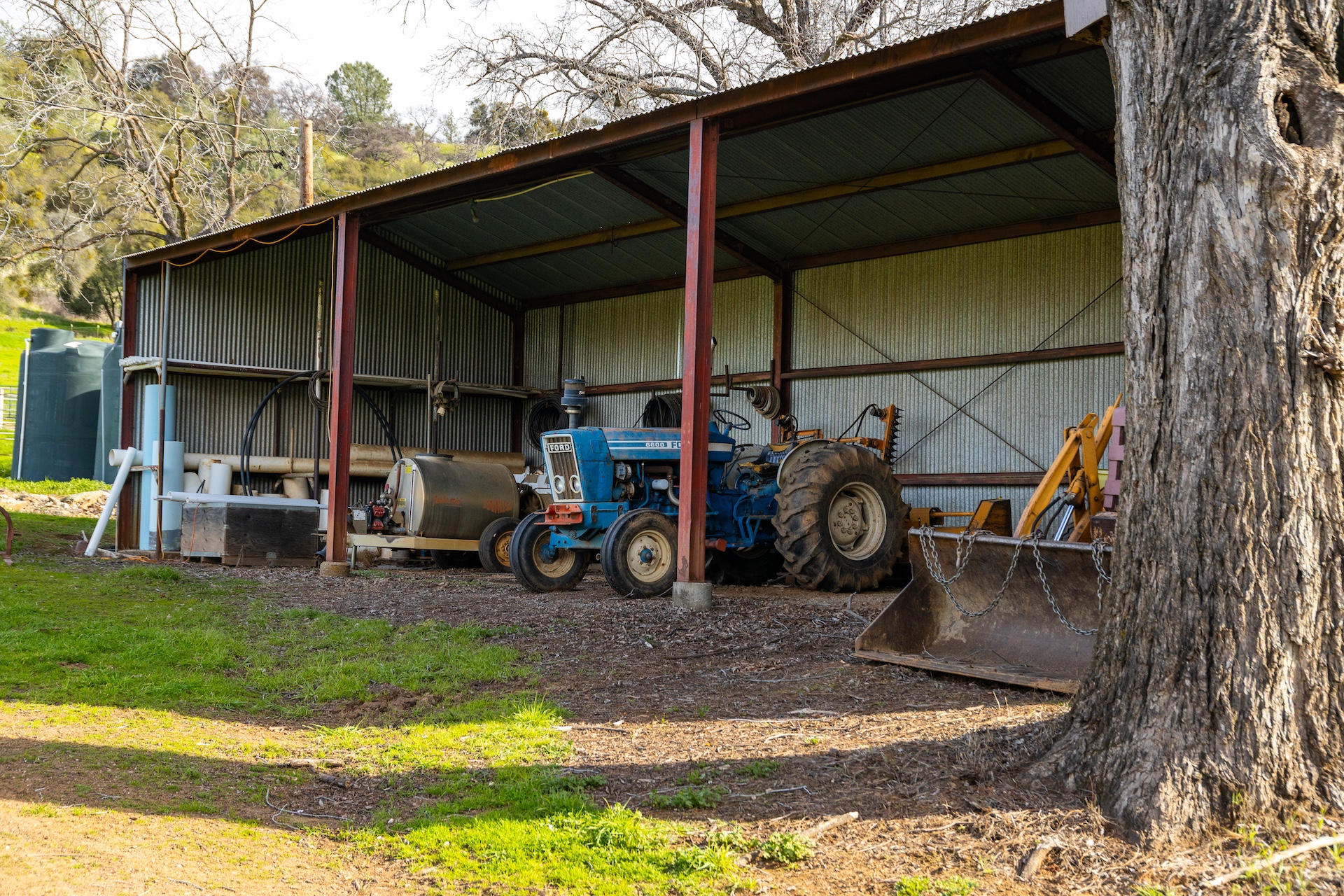 Chatom Vineyards