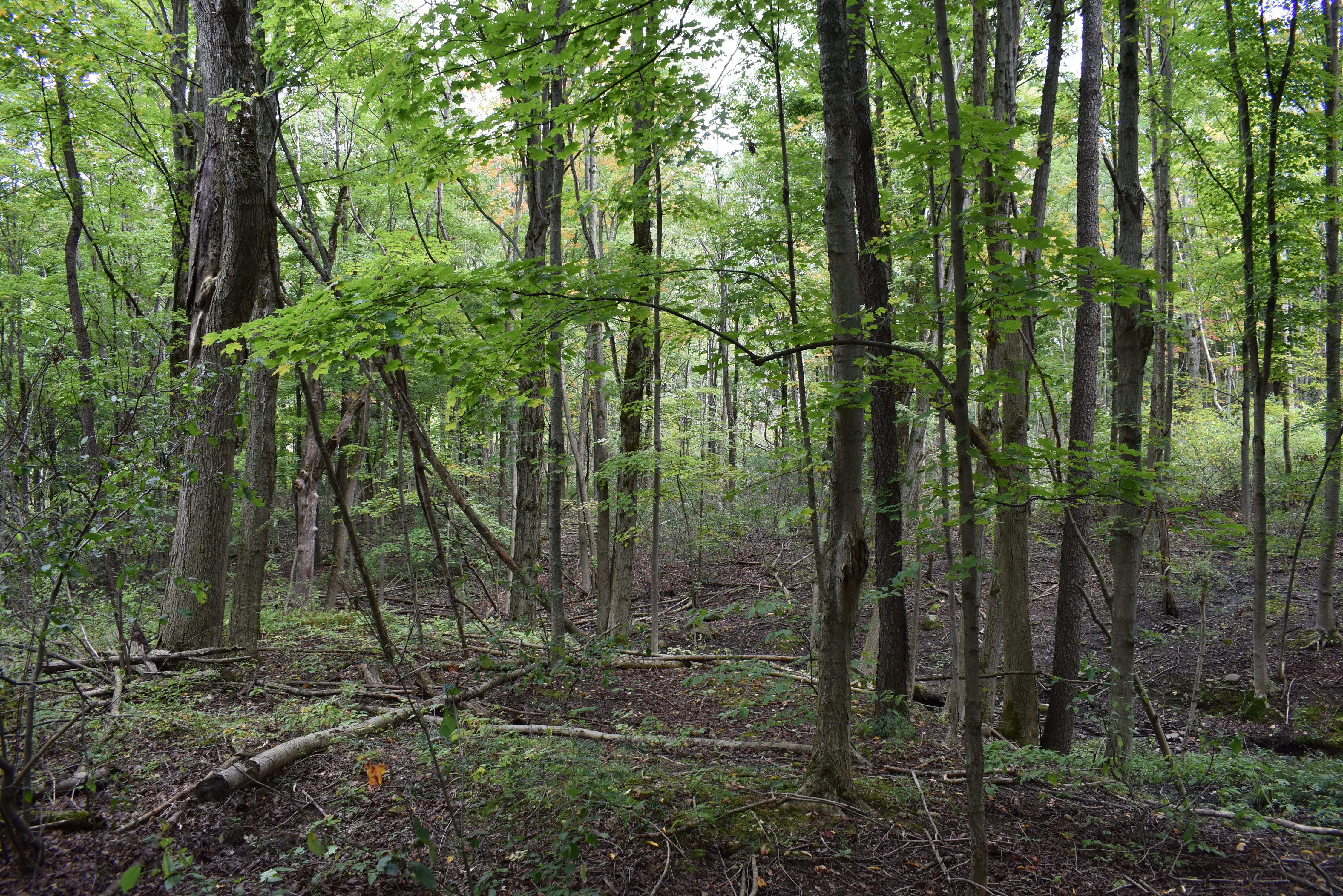 Listing Image 16