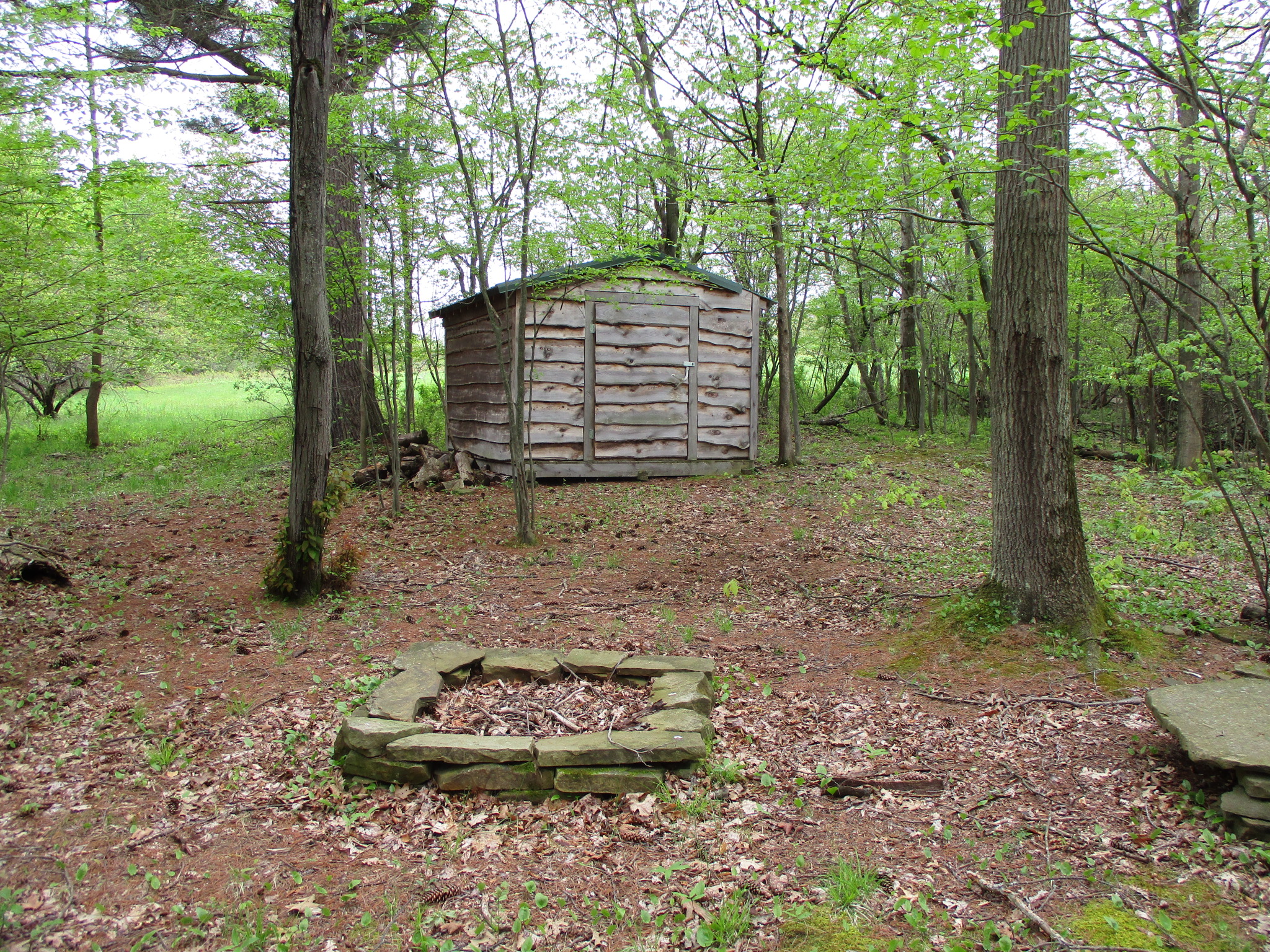 Blank Canvas Cabin