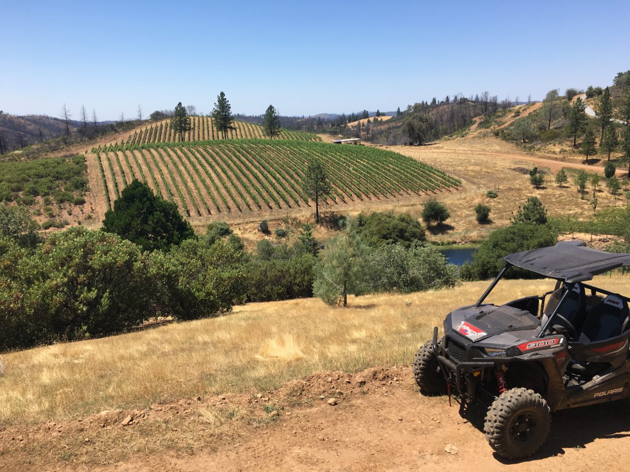Tailem Bend Ranch and Vineyard