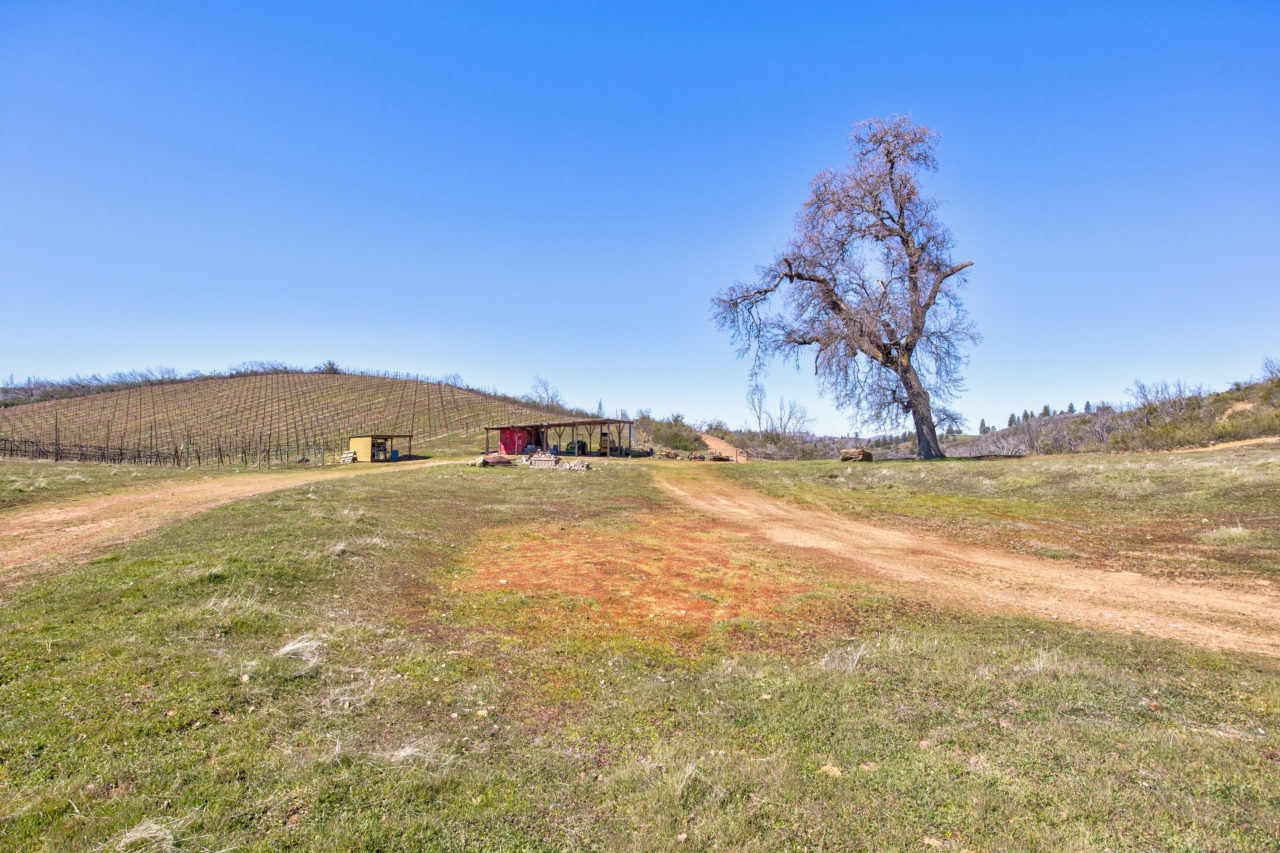 Tailem Bend Ranch and Vineyard