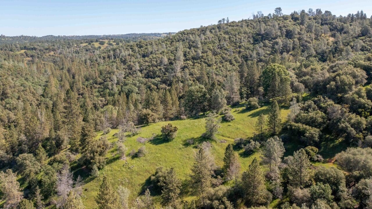 Listing Image 45