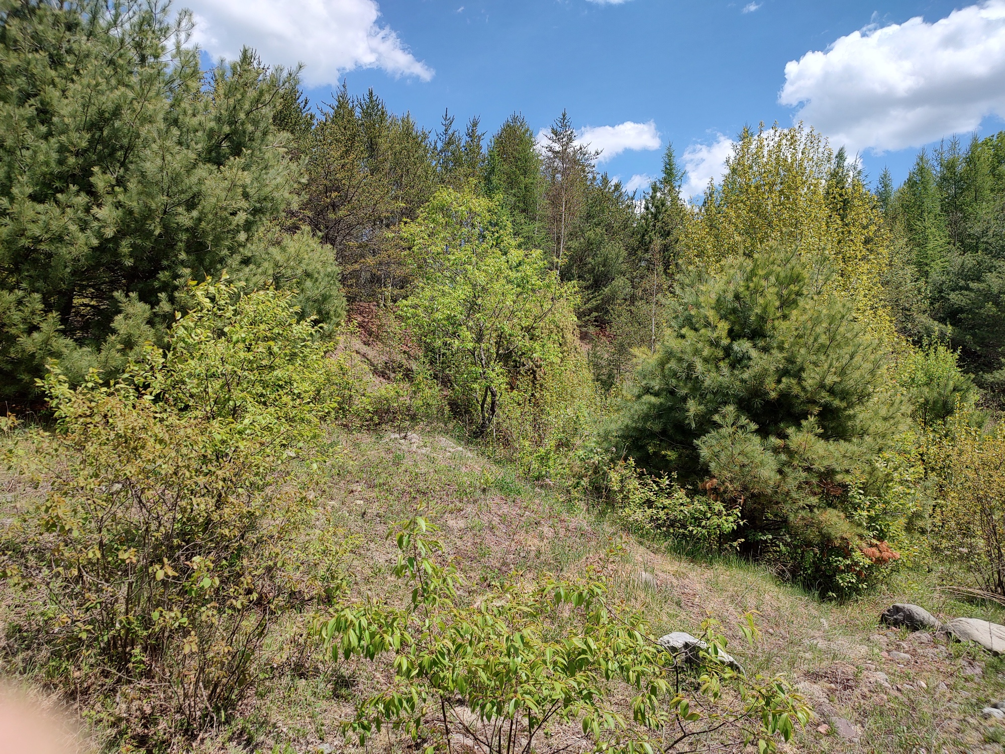 160 Acre Wilderness Retreat 50175391