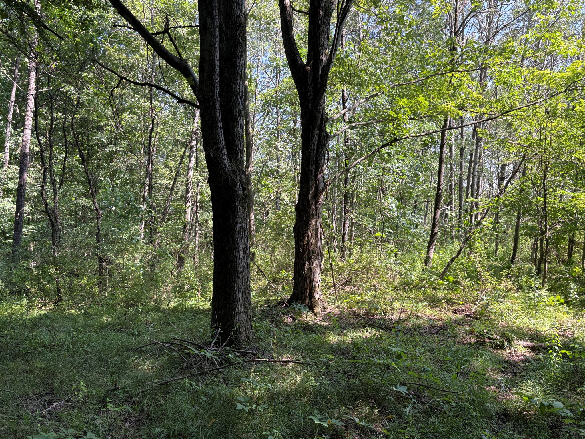 Listing Image 14