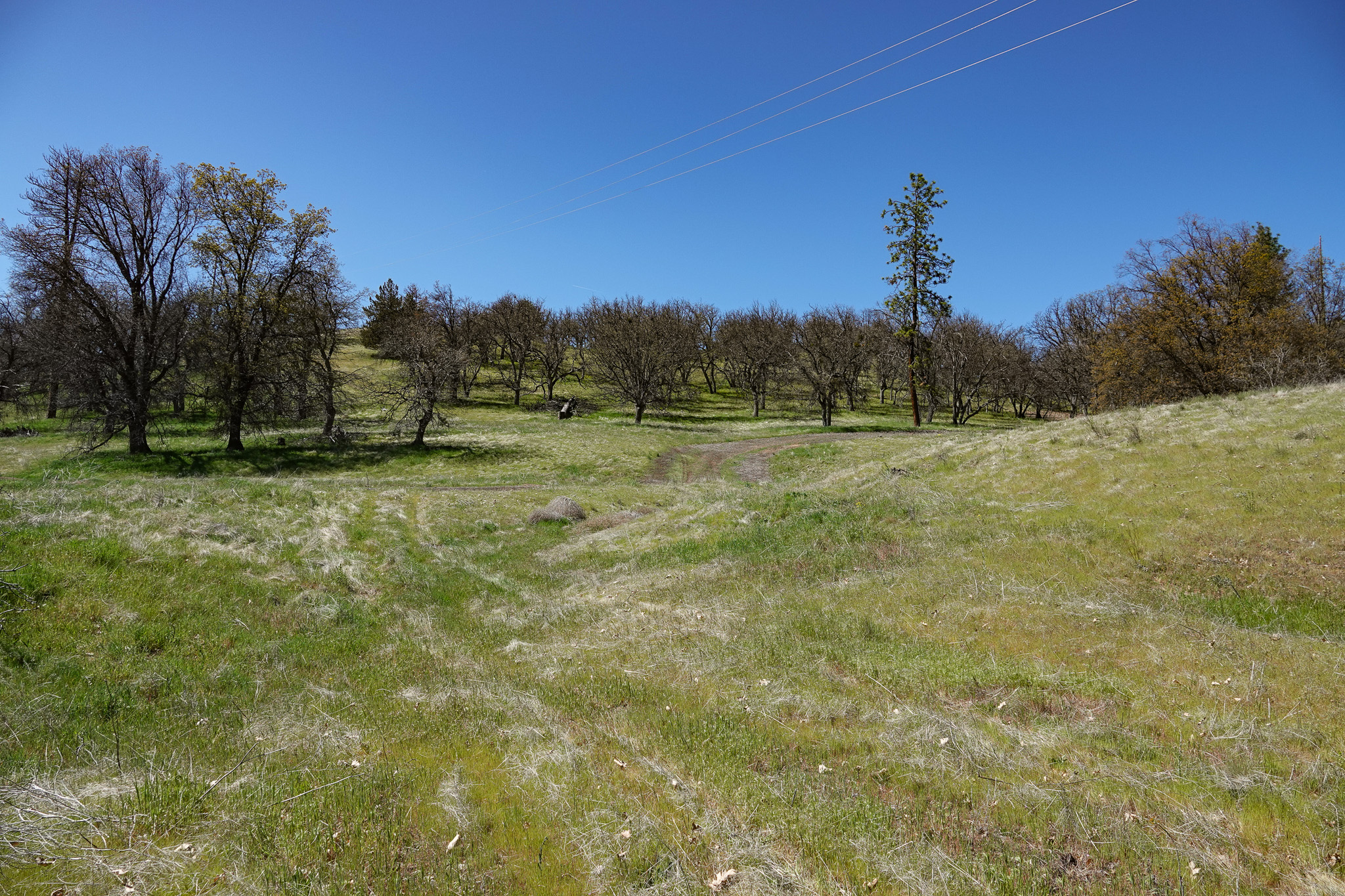 Kraus and Sons Ranch