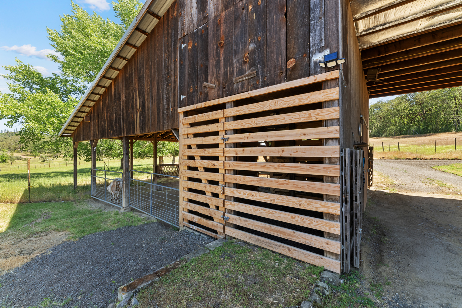 Listing Image 23
