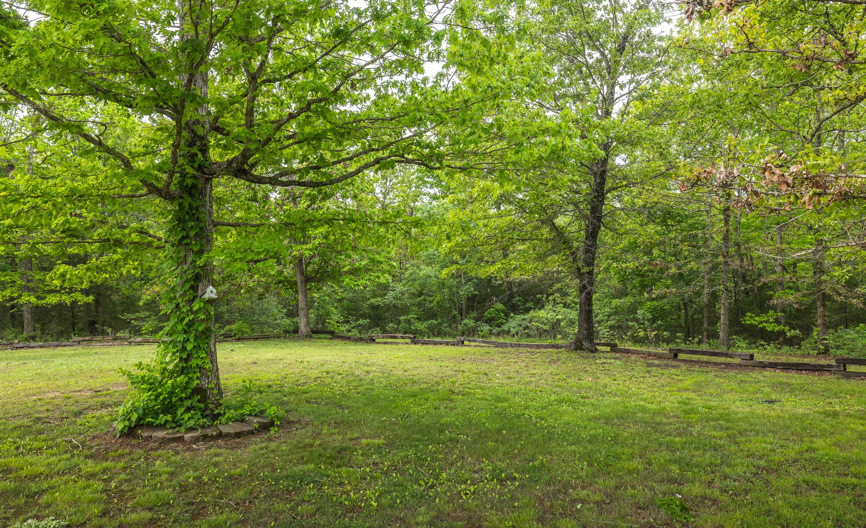 Listing Image 39