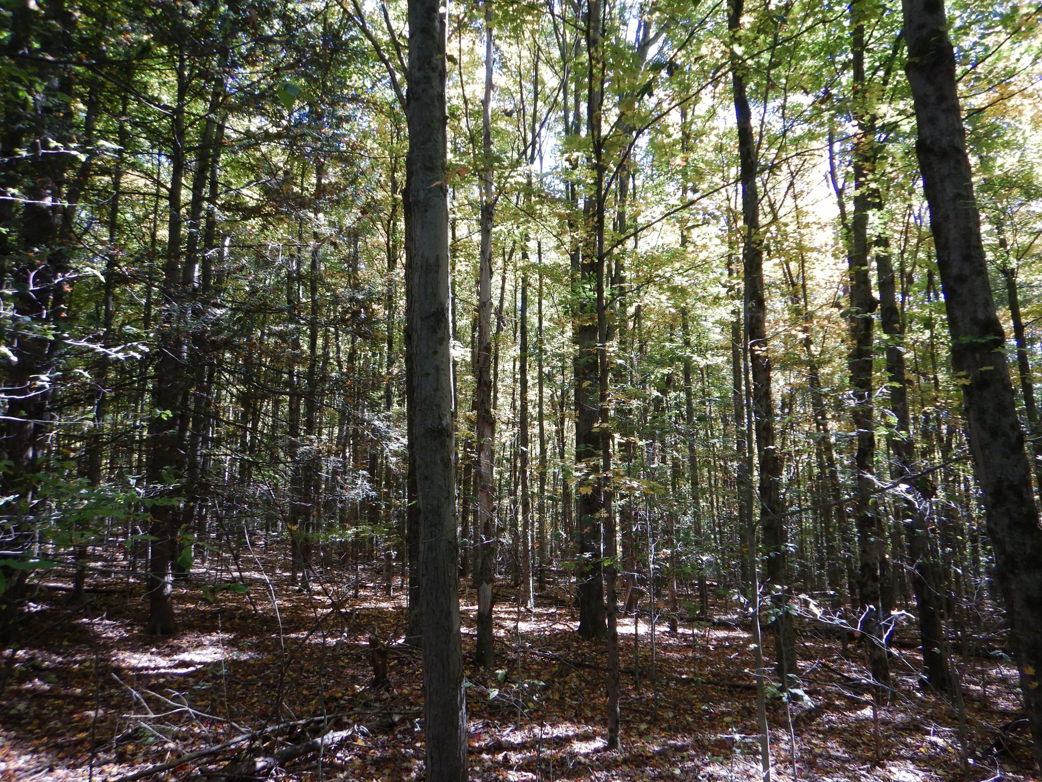 Listing Image 28