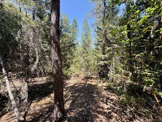 5 Acres-Hwy 238 Applegate, OR