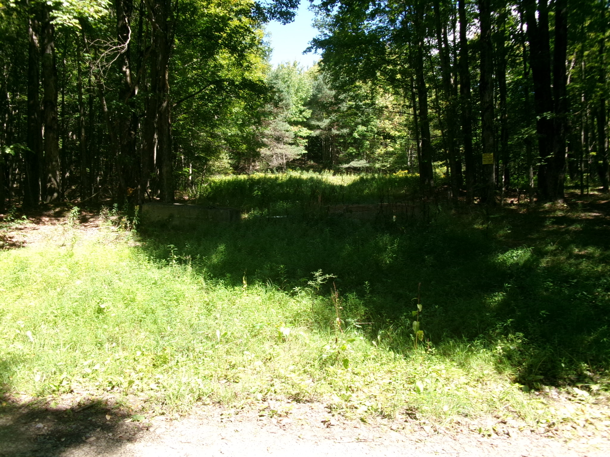 Listing Image 59