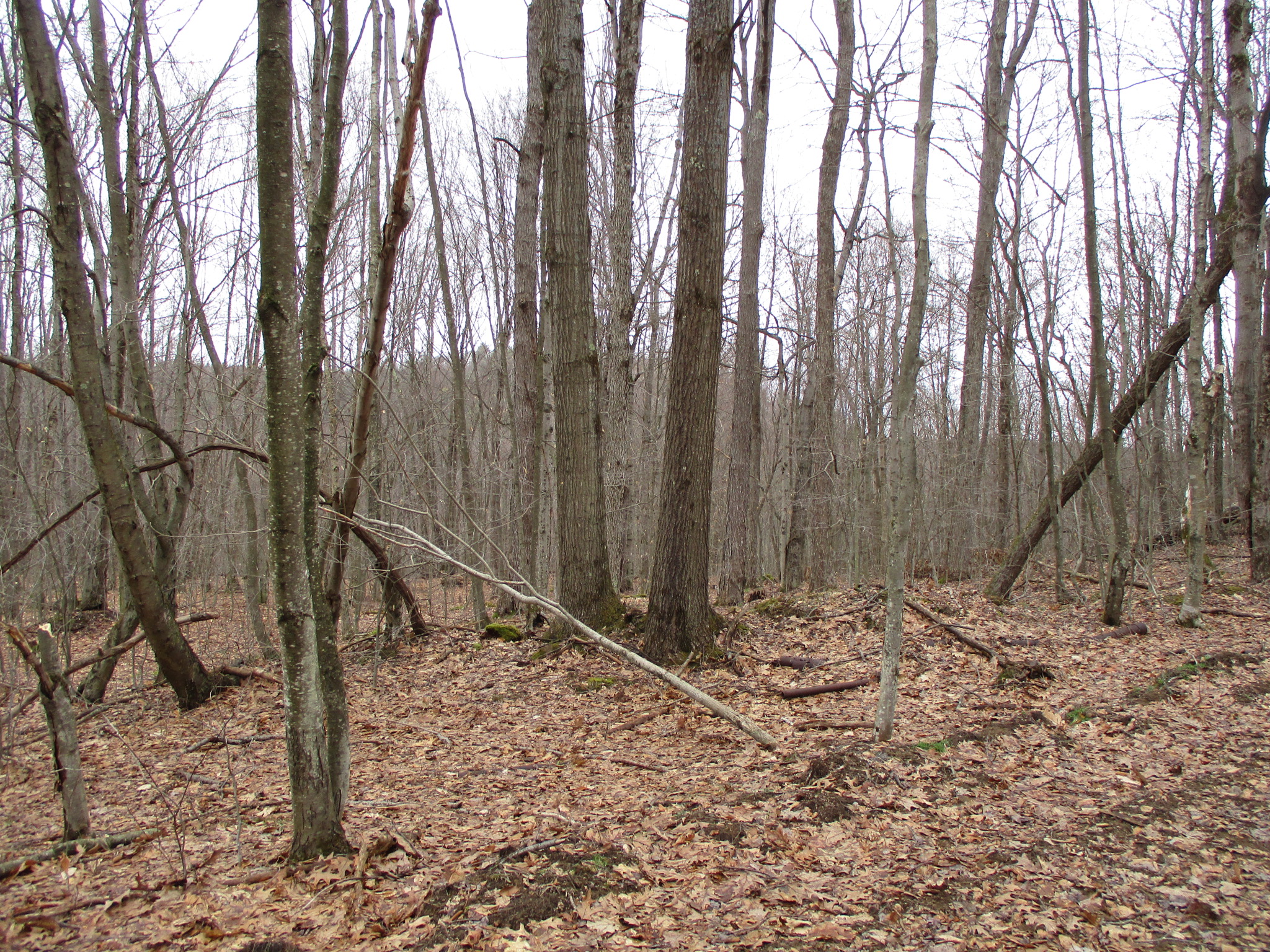 Listing Image 23