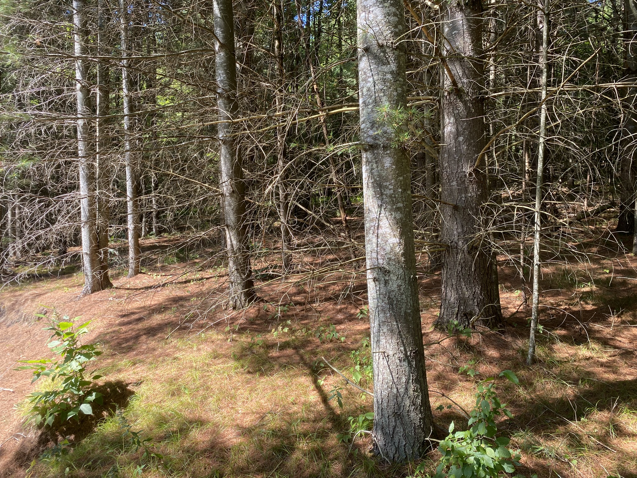 Plumb Brook Country Retreat