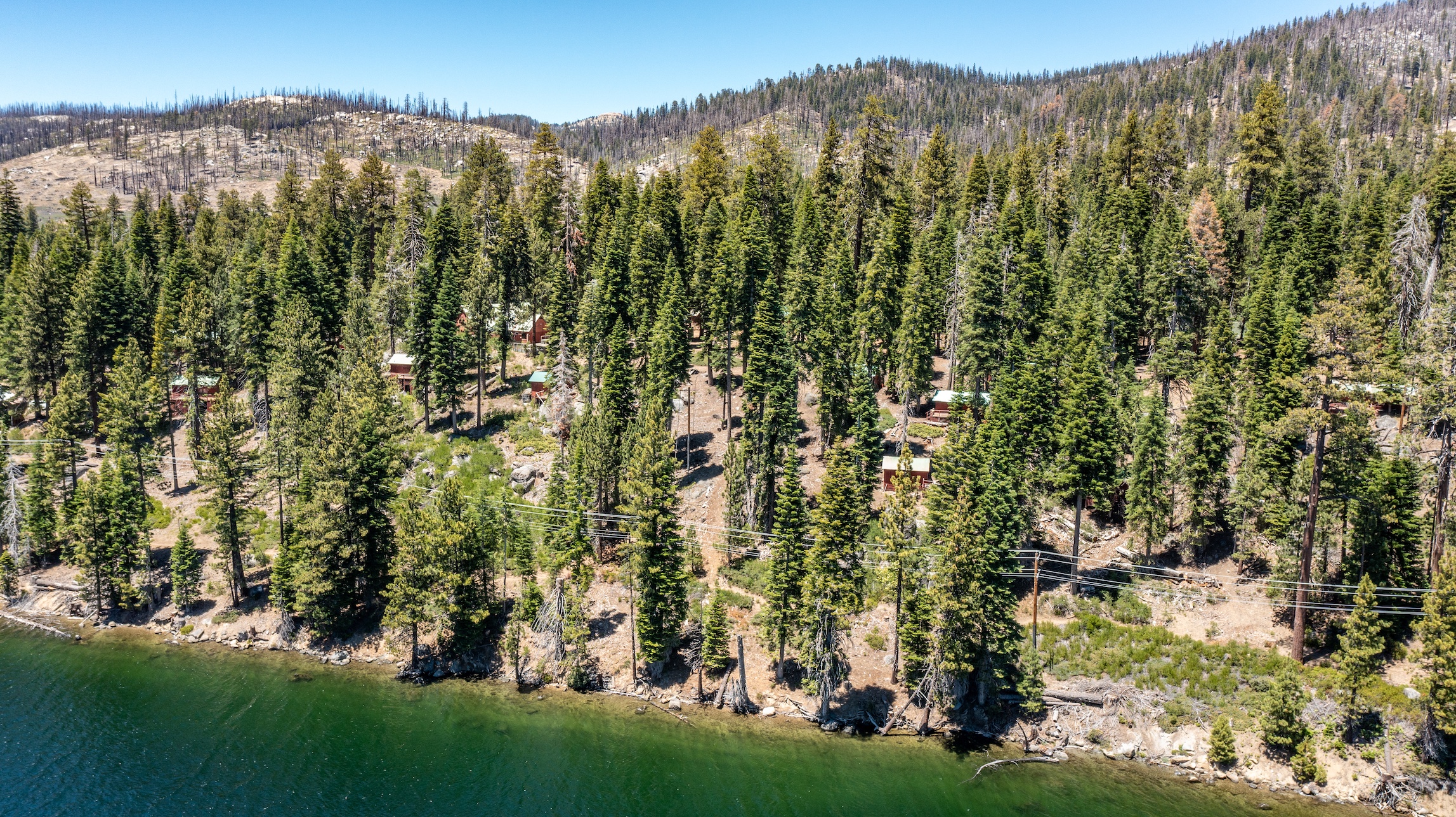 Listing Image 86