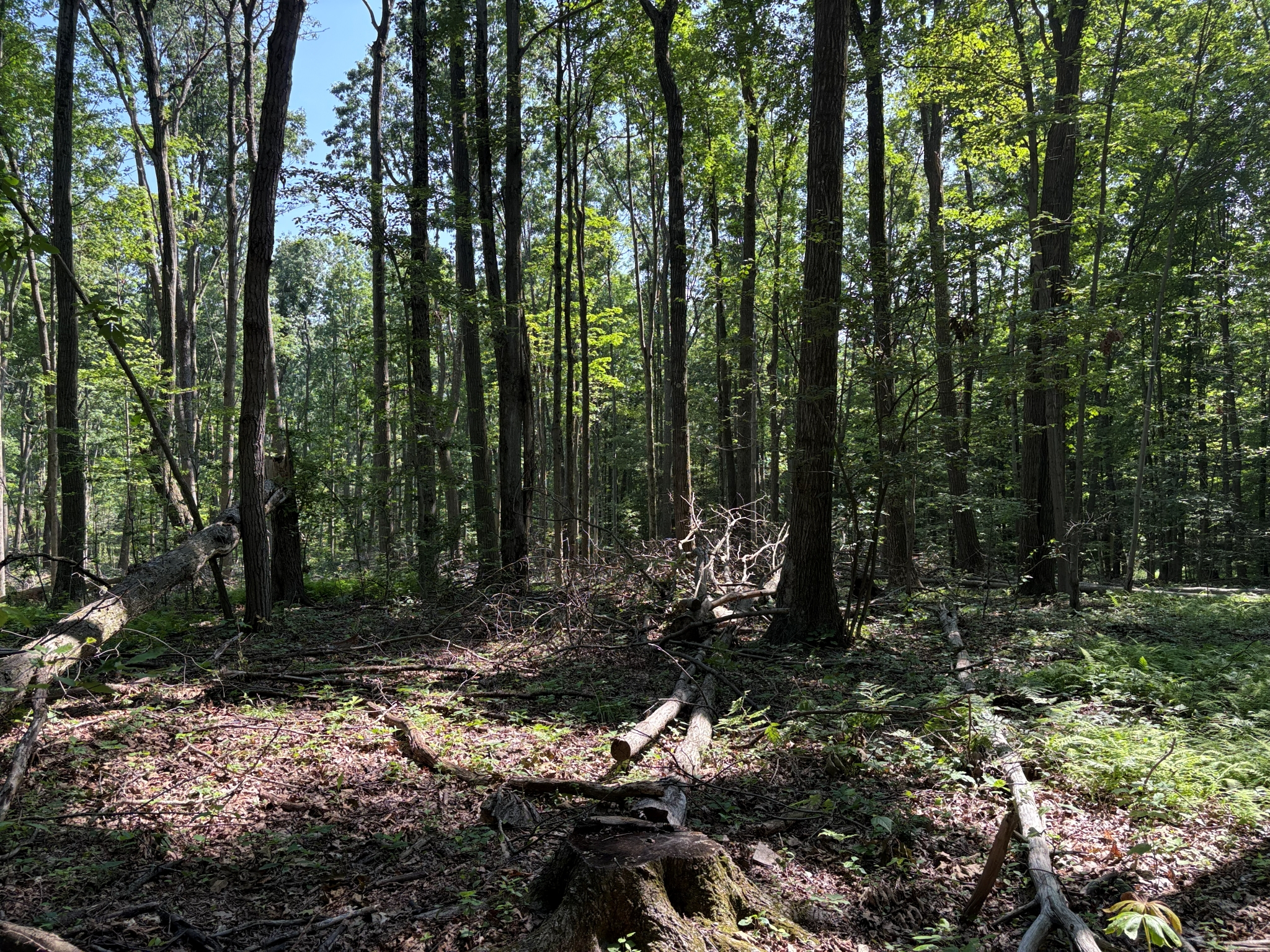 Listing Image 10
