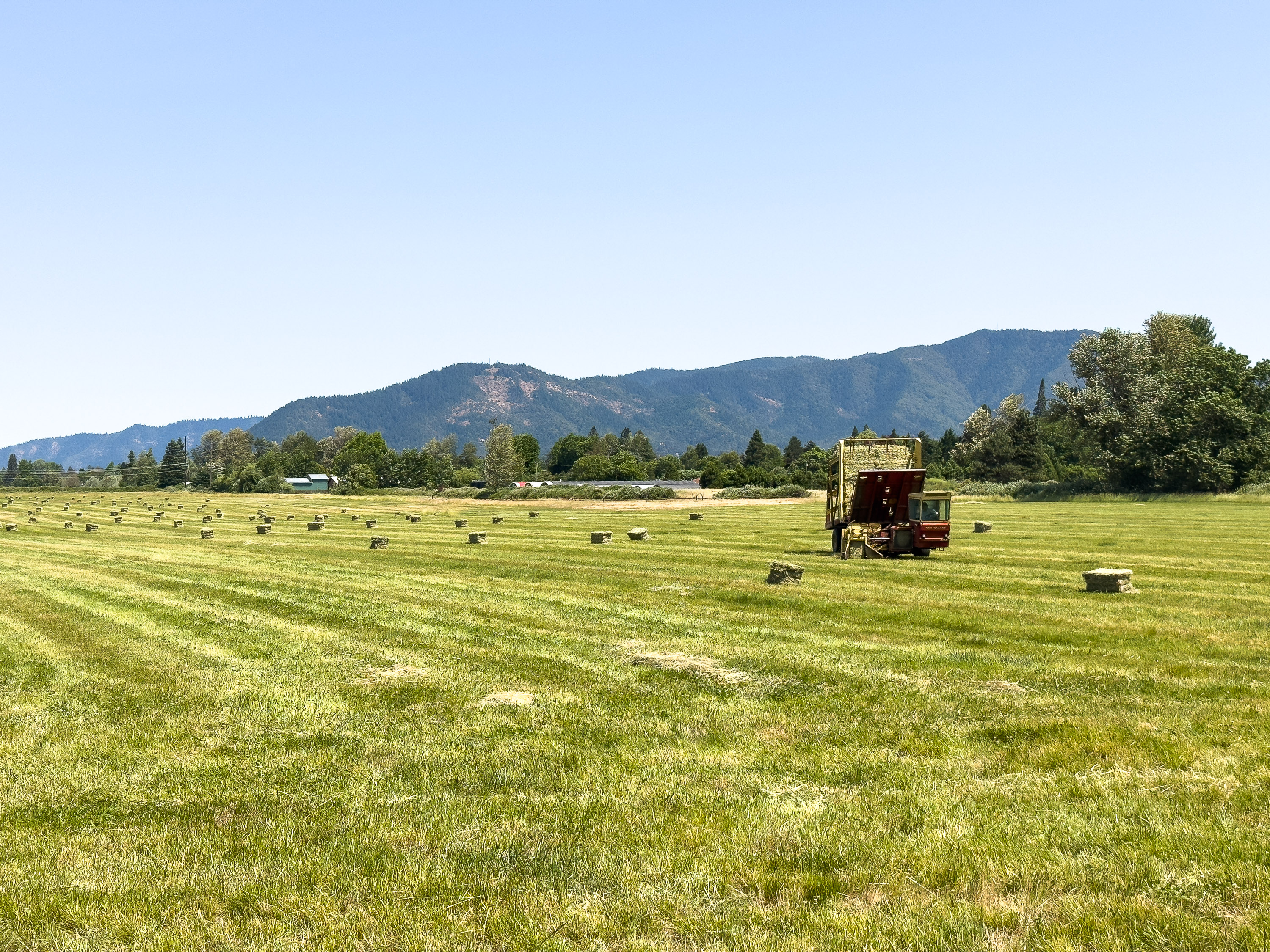 3290 Lower River Road - Kudlac Ranch