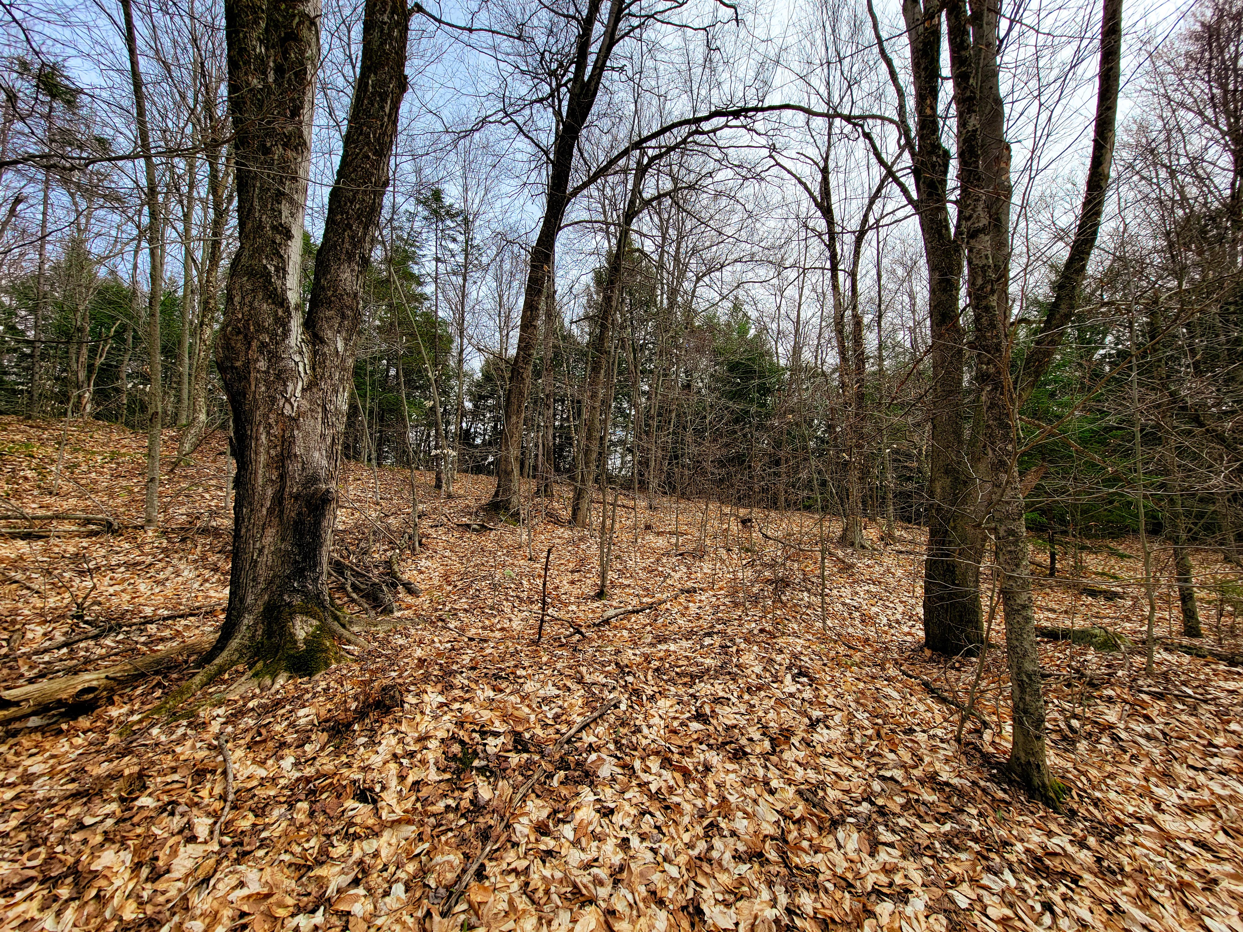 Listing Image 51