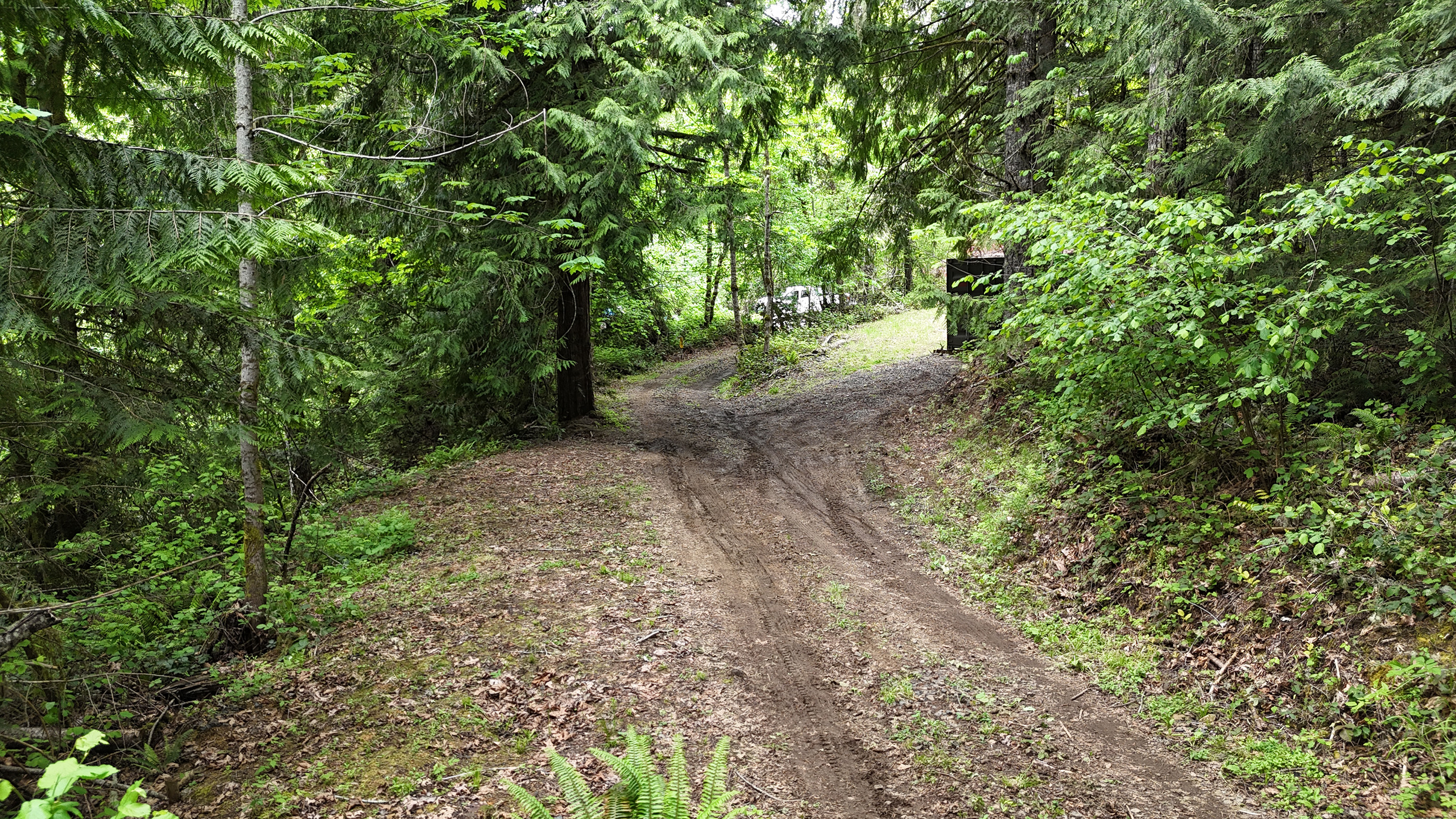 83715 Peninsula Rd Fall Creek OR