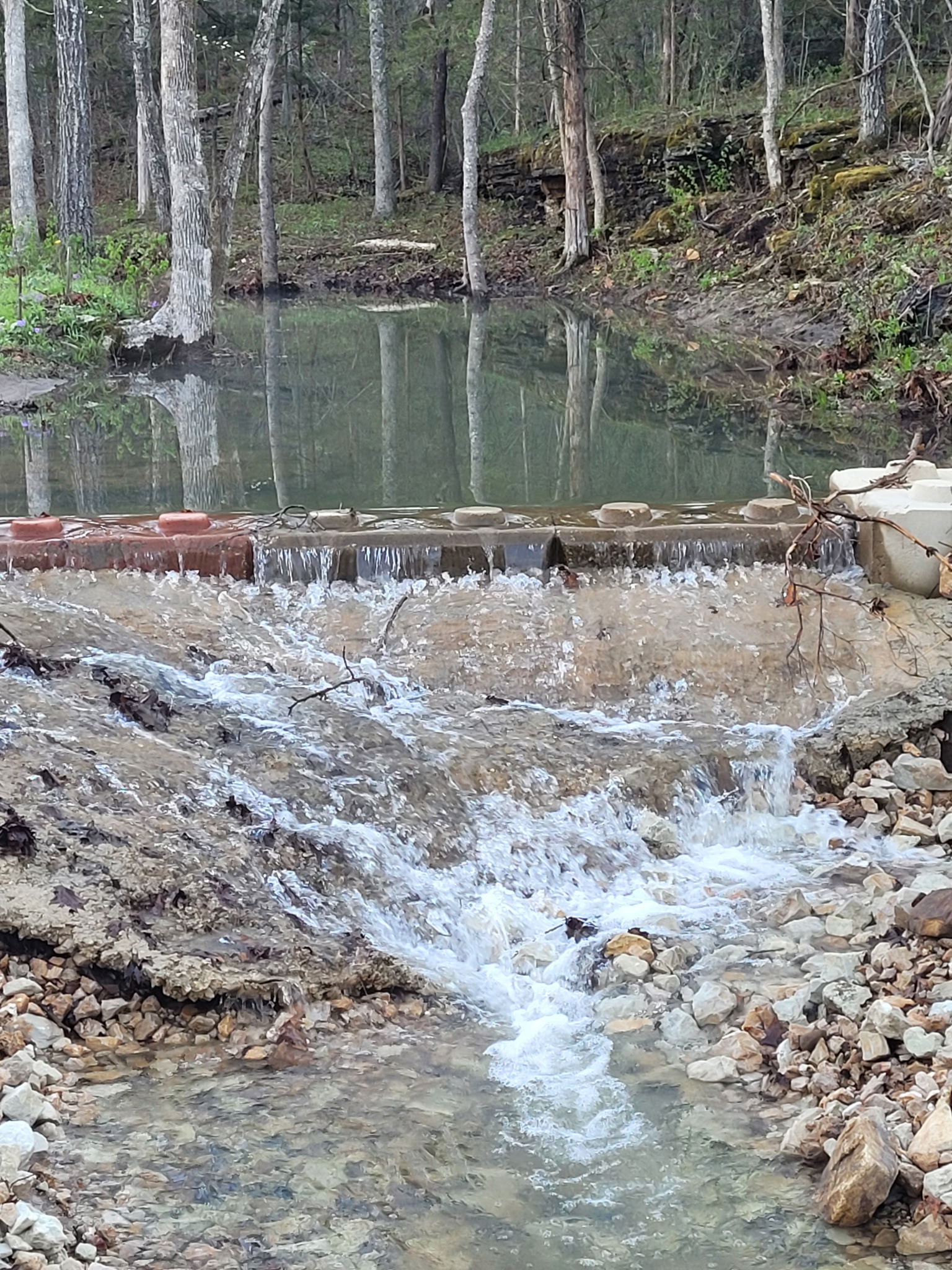 Curly Holt Camp at Peterball Spring