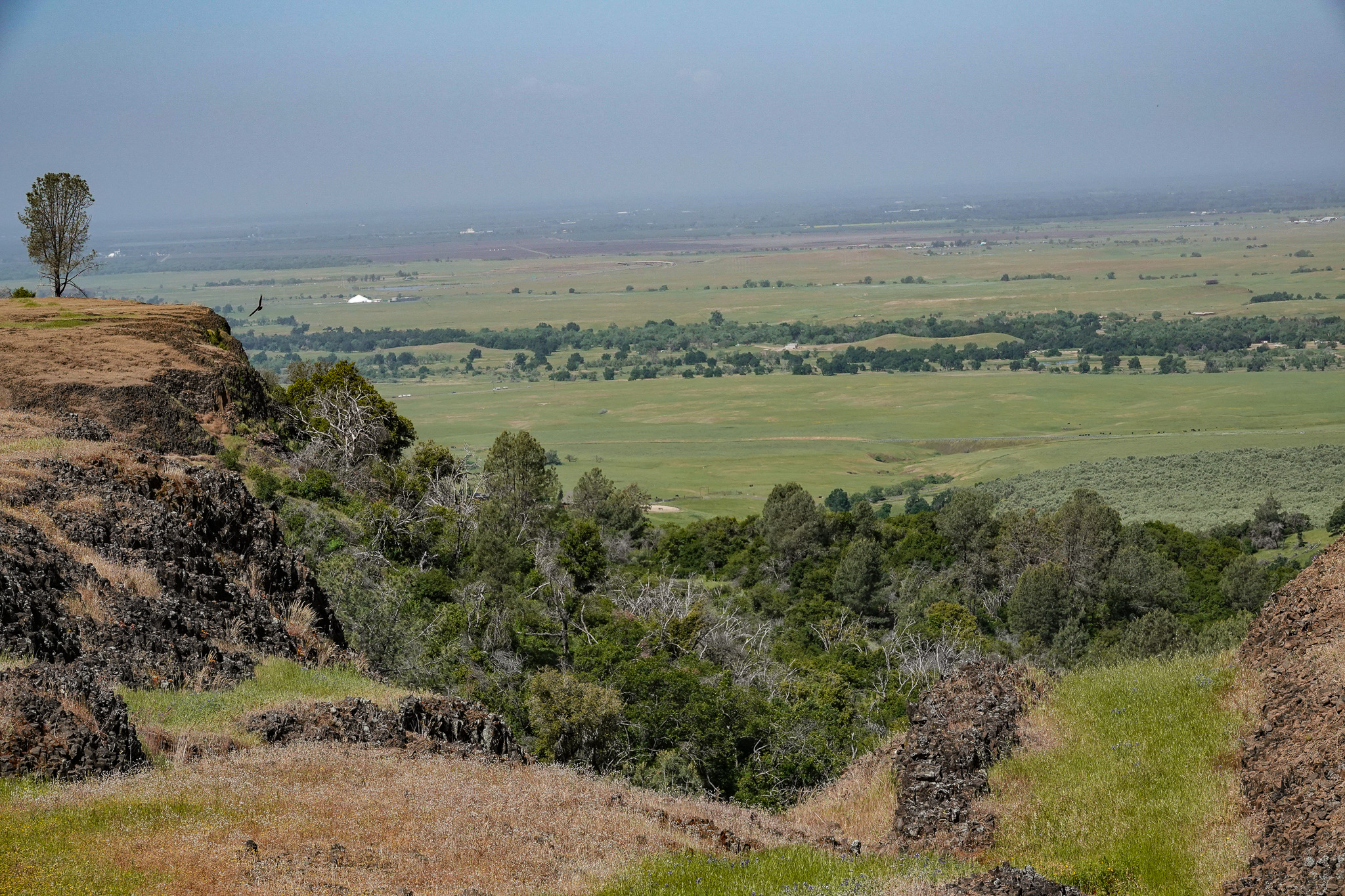 Listing Image 65