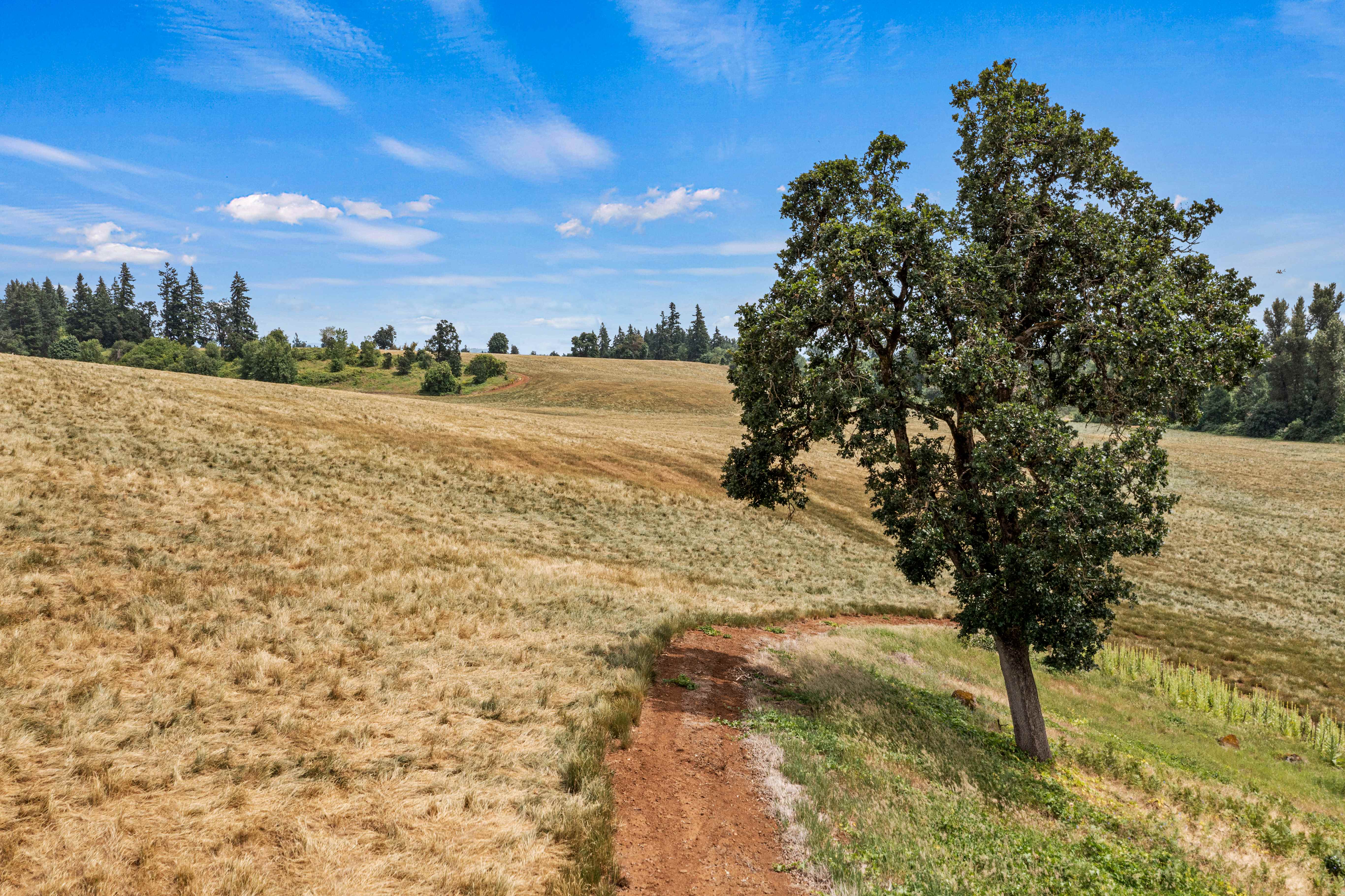 Sublimity 152 — Productive Willamette Valley Farm for Sale with Creek Frontage and Homesite Potential